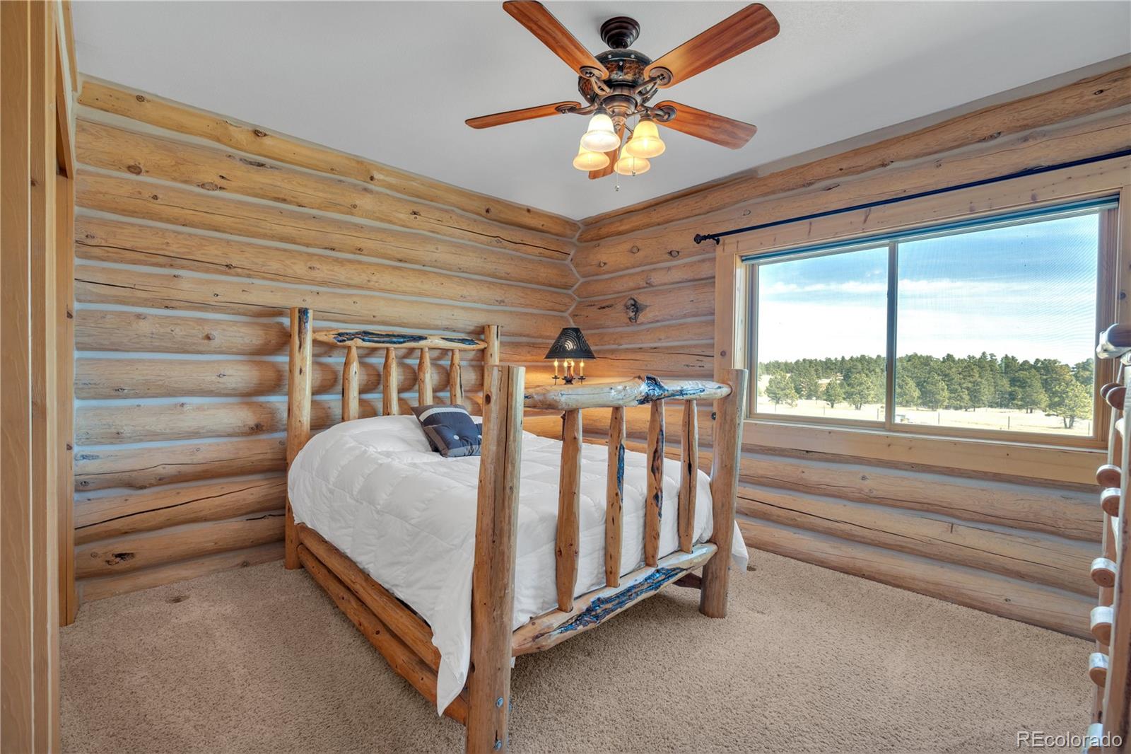 MLS Image #14 for 17290  barnwood drive,peyton, Colorado
