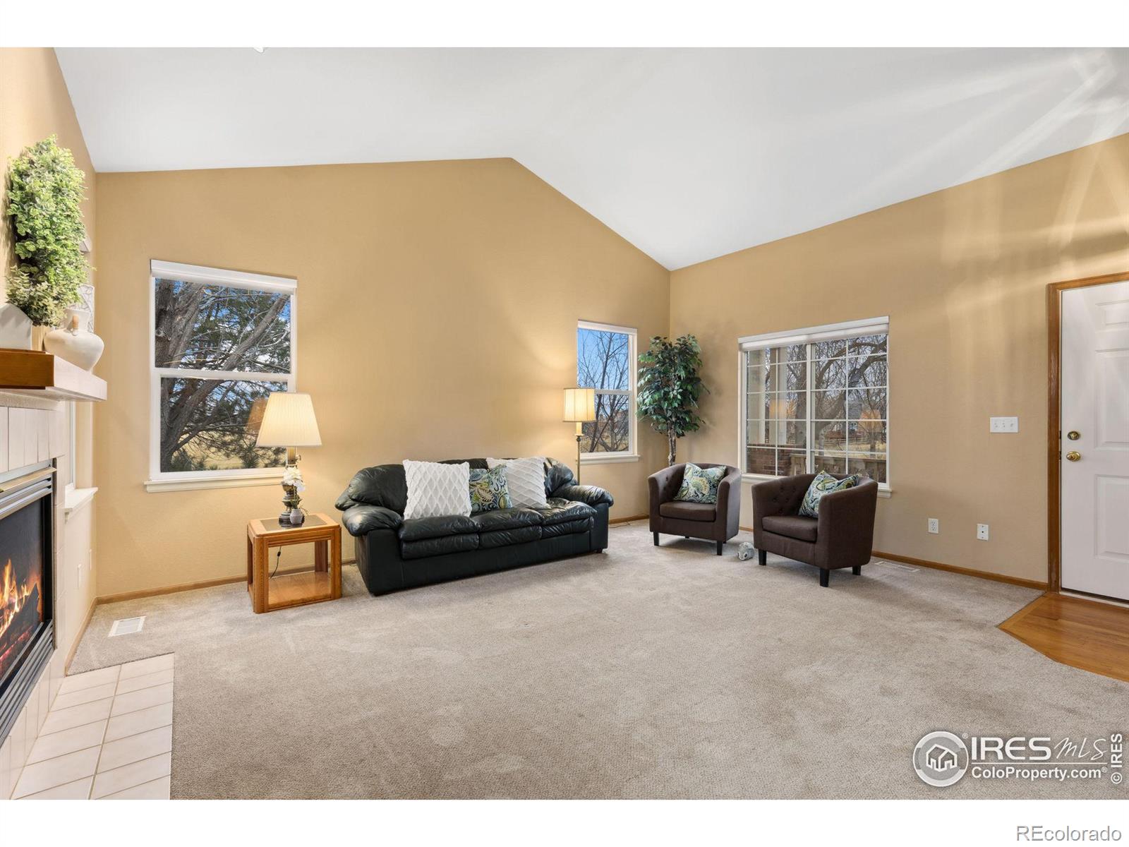 MLS Image #7 for 148  summerfield court,erie, Colorado