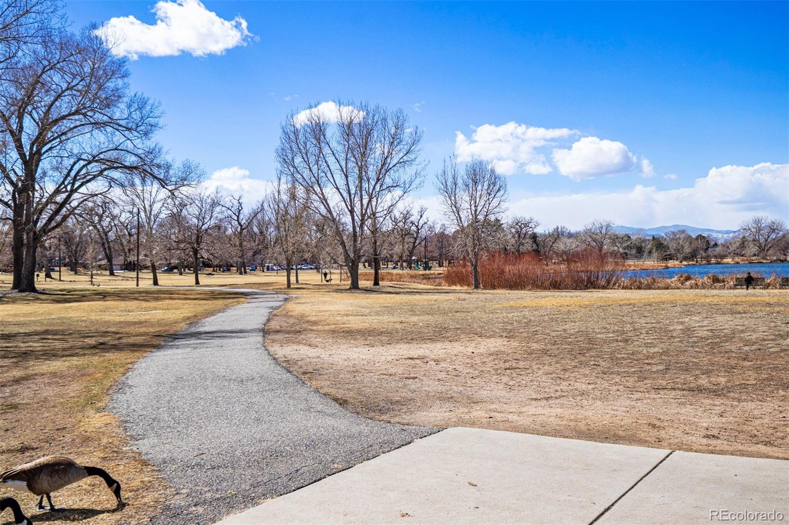 MLS Image #22 for 3047 w 47th avenue,denver, Colorado