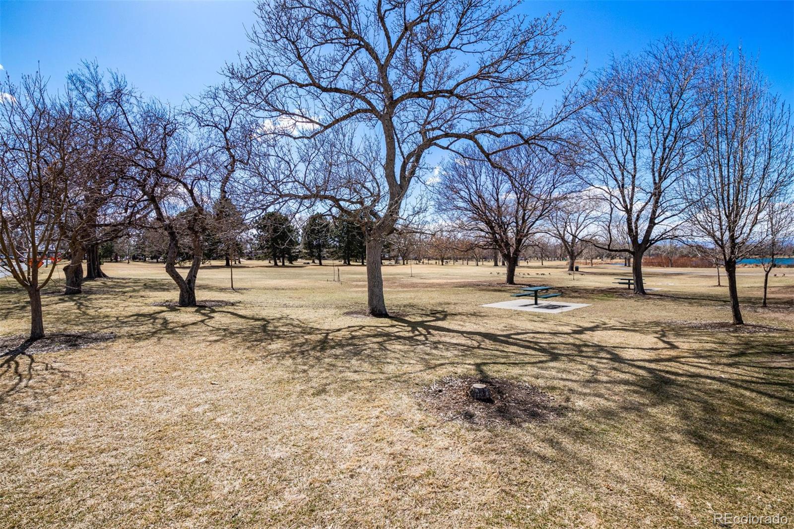 MLS Image #23 for 3047 w 47th avenue,denver, Colorado