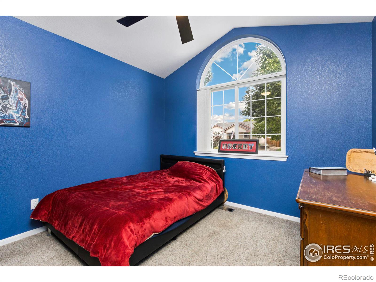 MLS Image #14 for 903  cameron drive,severance, Colorado