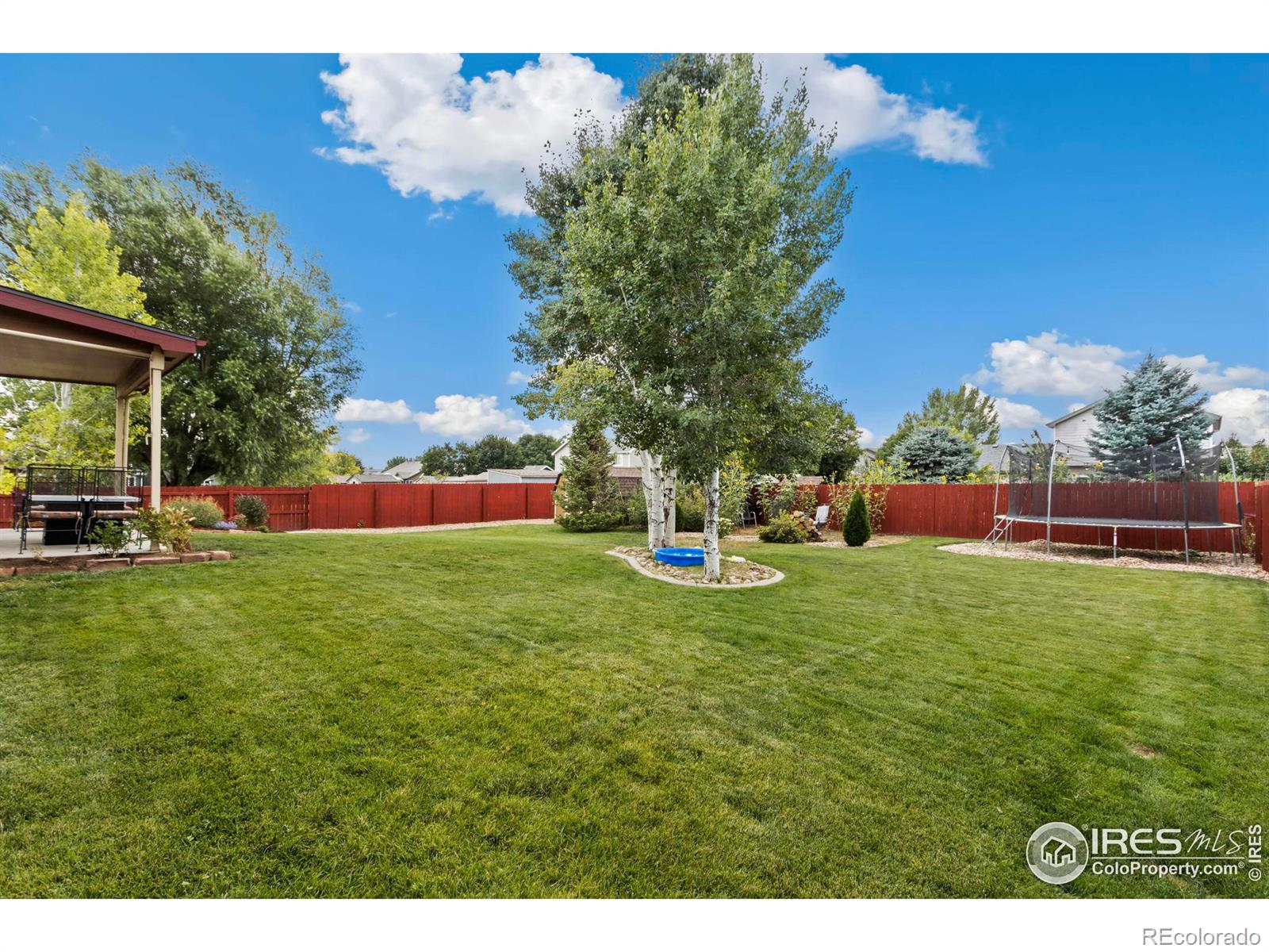 MLS Image #21 for 903  cameron drive,severance, Colorado