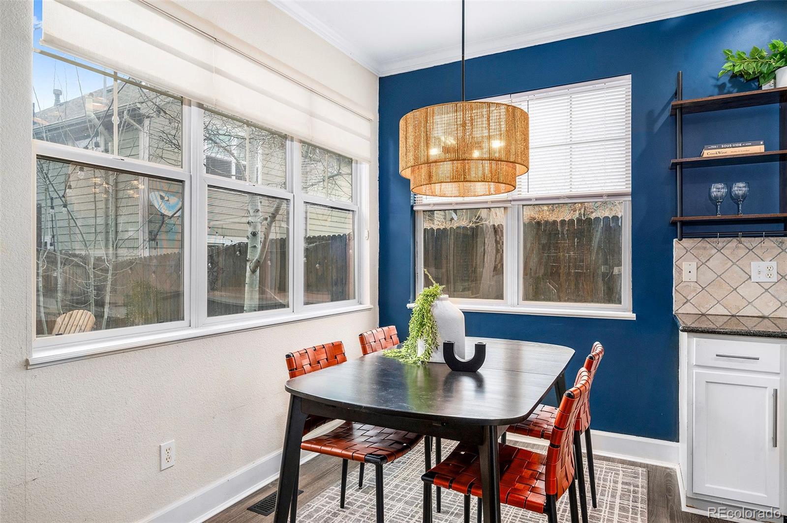 MLS Image #15 for 84  inca street,denver, Colorado