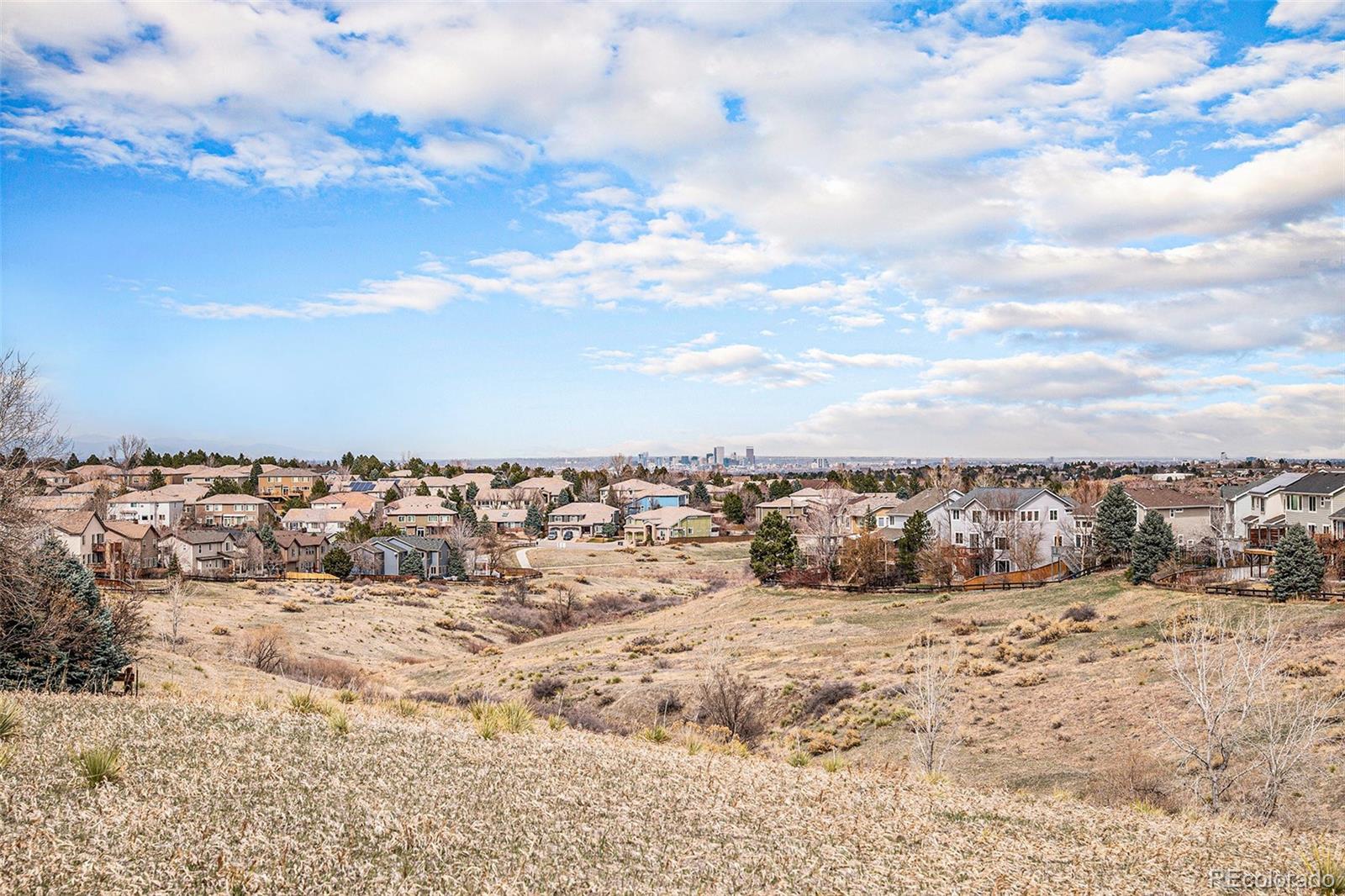 MLS Image #15 for 2823  danbury avenue,highlands ranch, Colorado