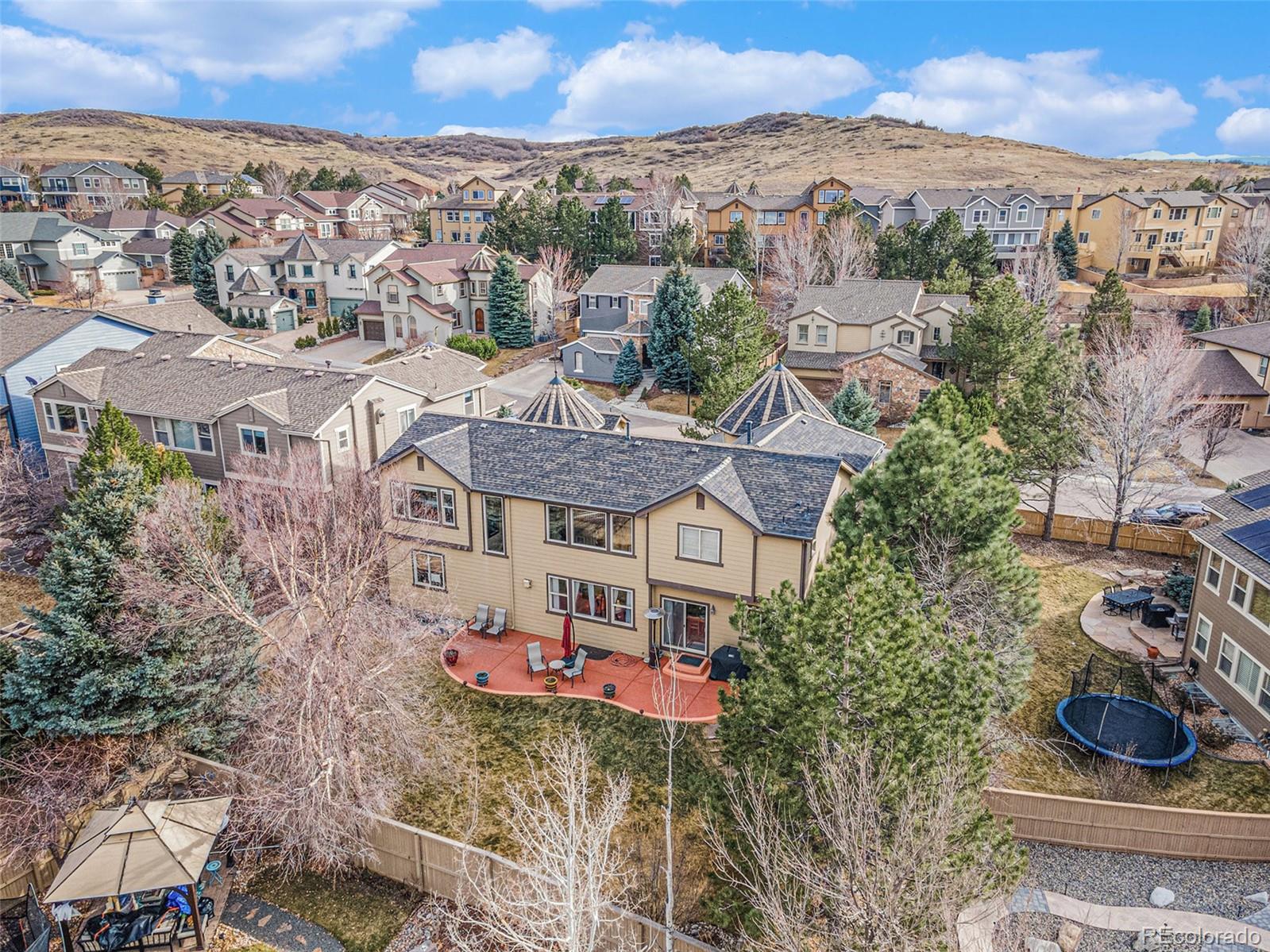 MLS Image #3 for 2823  danbury avenue,highlands ranch, Colorado