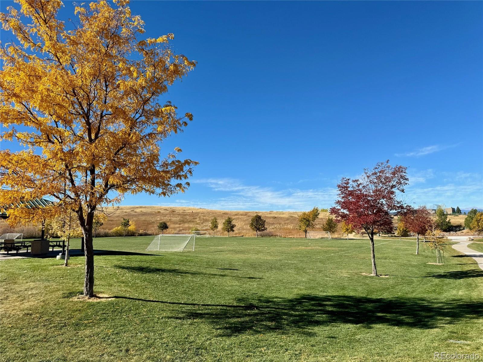 MLS Image #48 for 2823  danbury avenue,highlands ranch, Colorado
