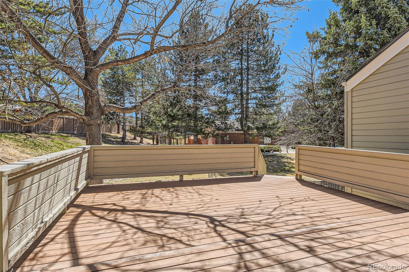 MLS Image #22 for 8834  blue mountain place,highlands ranch, Colorado