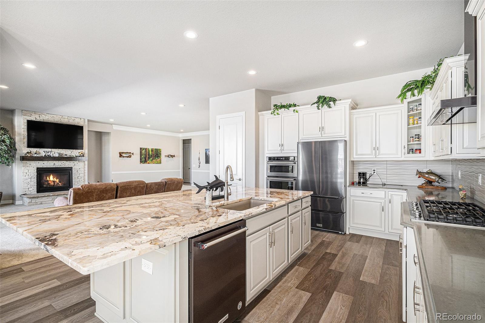 MLS Image #13 for 11541  quartzite way,parker, Colorado