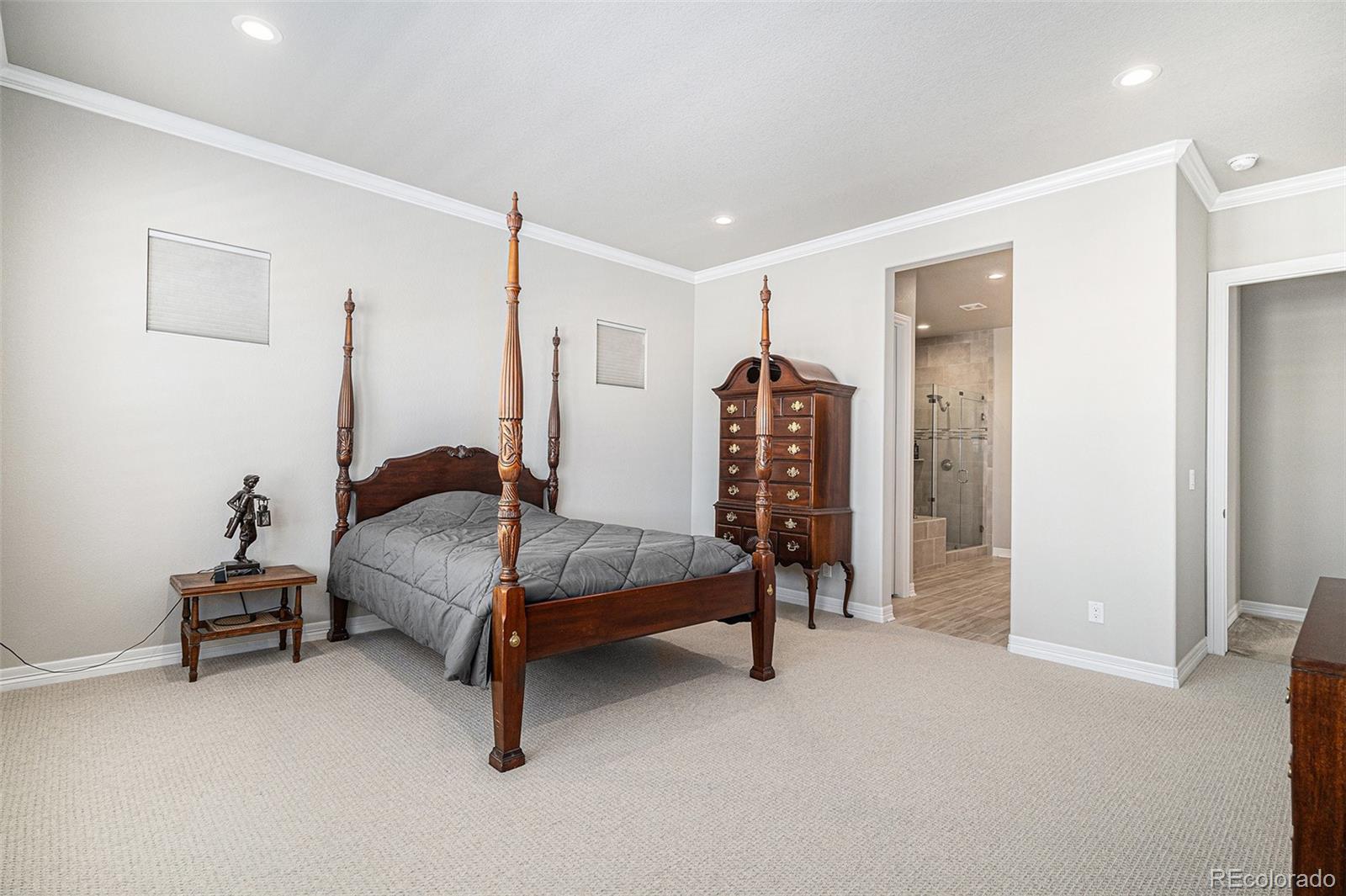 MLS Image #19 for 11541  quartzite way,parker, Colorado