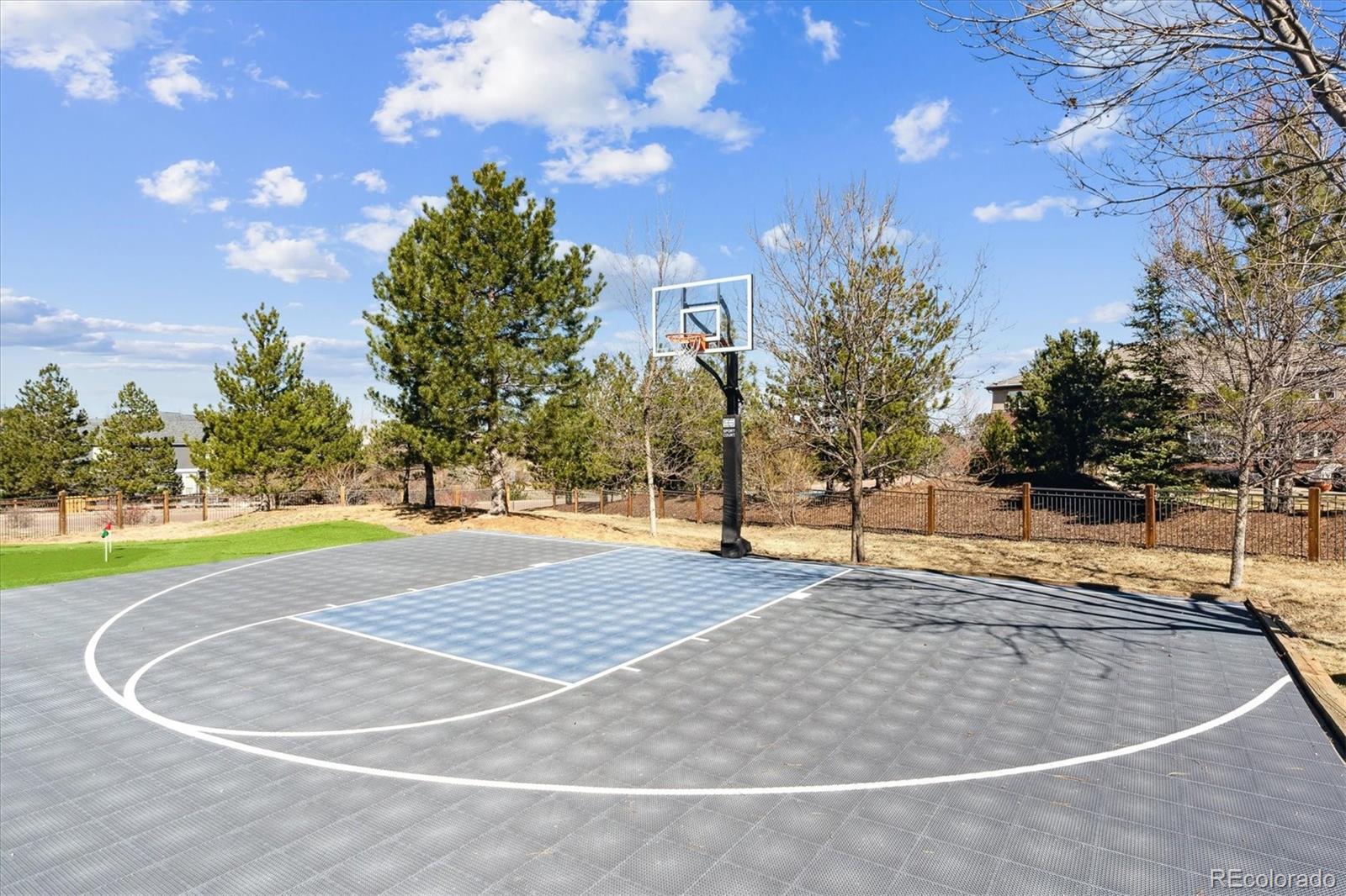 MLS Image #6 for 391  high ridge way,castle pines, Colorado
