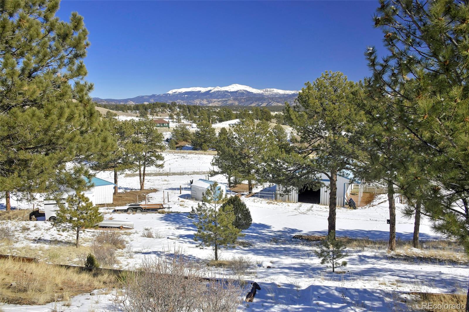 MLS Image #31 for 11581  county rd 102 ,guffey, Colorado