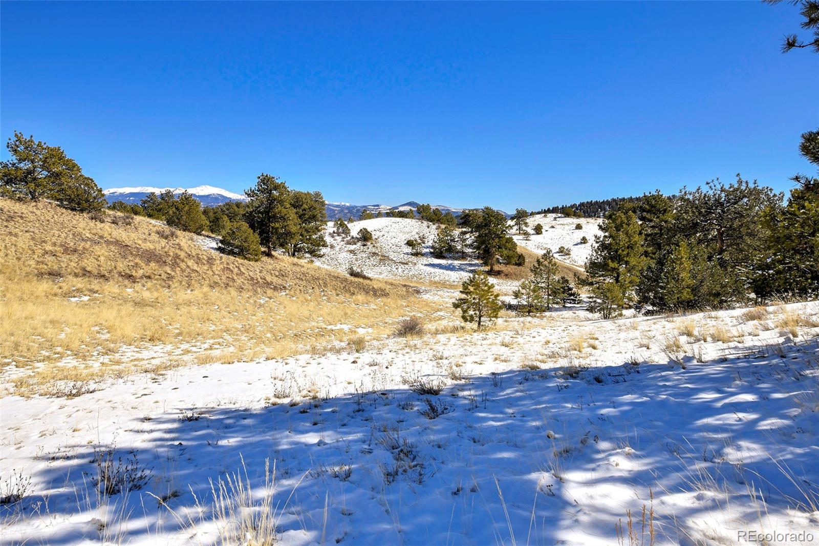 MLS Image #35 for 11581  county rd 102 ,guffey, Colorado