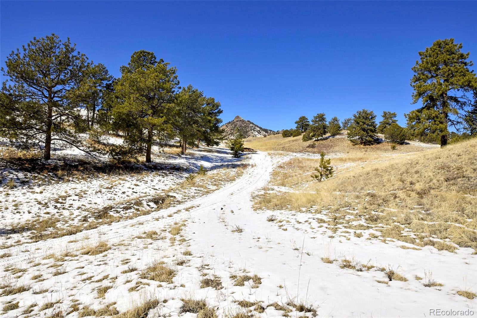 MLS Image #36 for 11581  county rd 102 ,guffey, Colorado