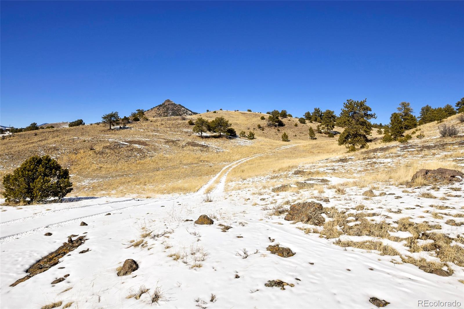 MLS Image #37 for 11581  county rd 102 ,guffey, Colorado