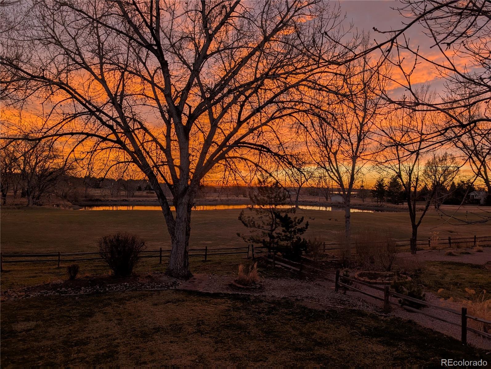 MLS Image #16 for 4133  niblick drive,longmont, Colorado