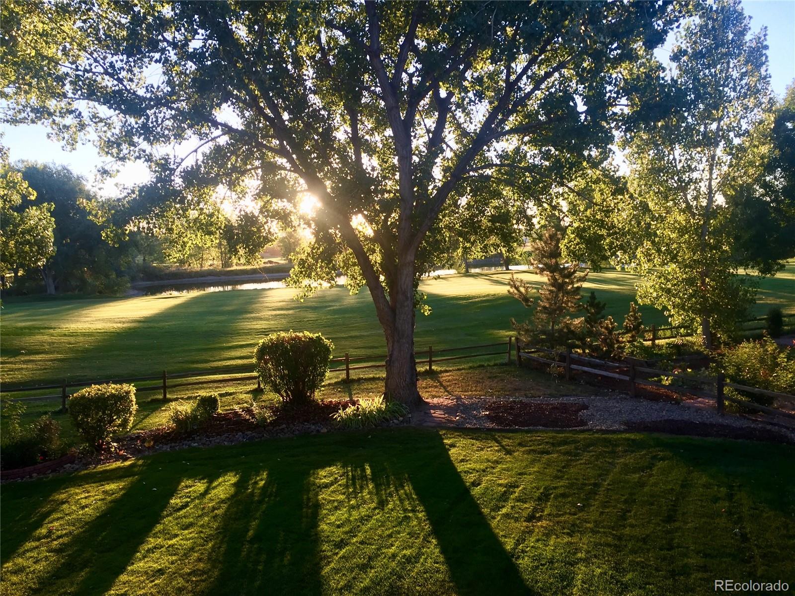 MLS Image #7 for 4133  niblick drive,longmont, Colorado