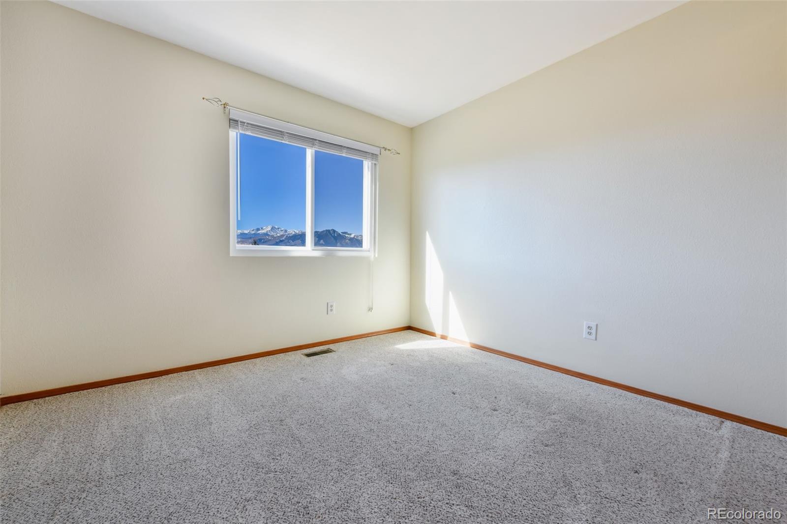 MLS Image #23 for 1203  lawn lake trail,colorado springs, Colorado