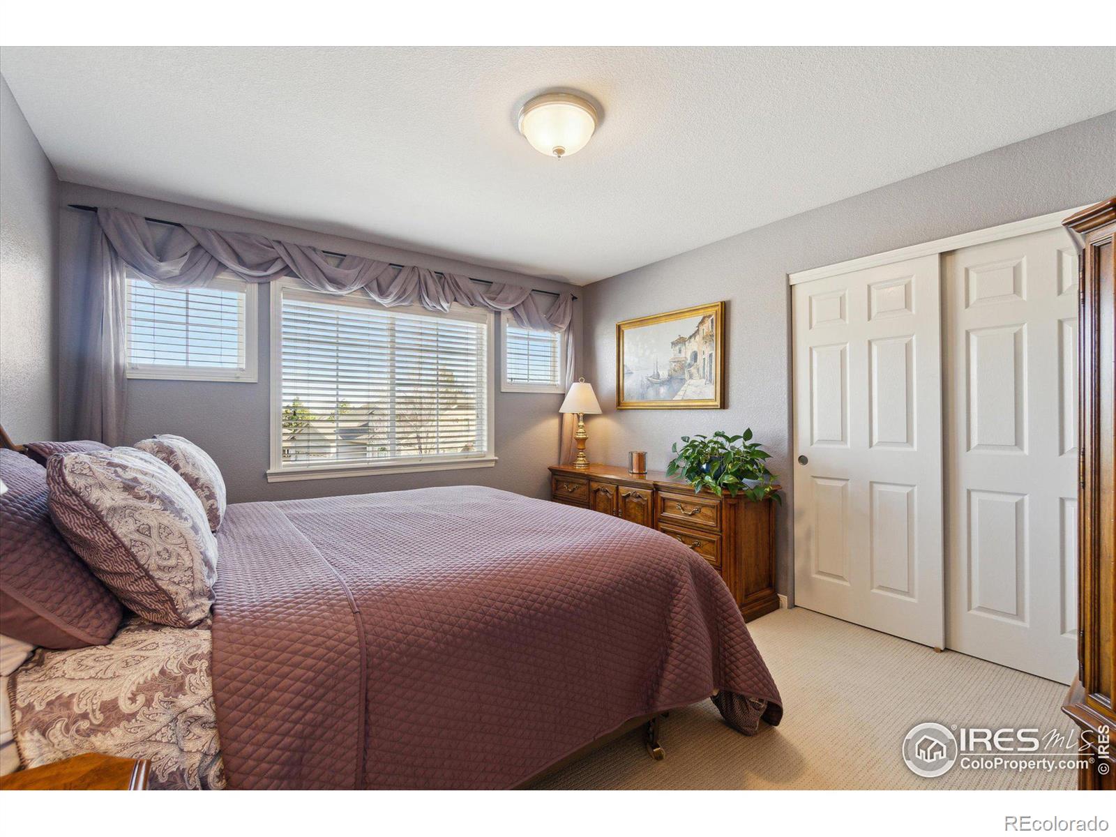 MLS Image #23 for 3991  stonegrass point,broomfield, Colorado