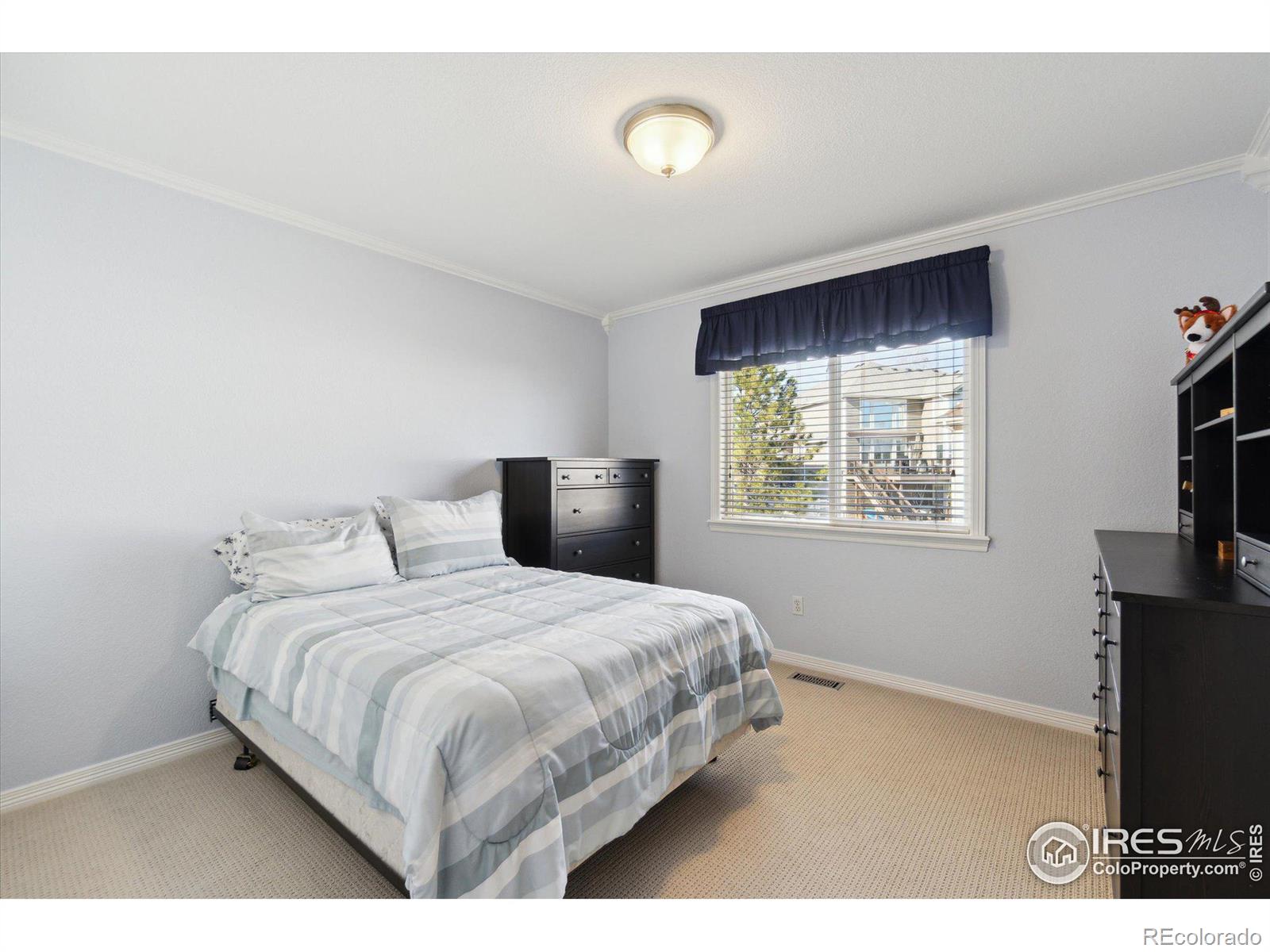 MLS Image #27 for 3991  stonegrass point,broomfield, Colorado