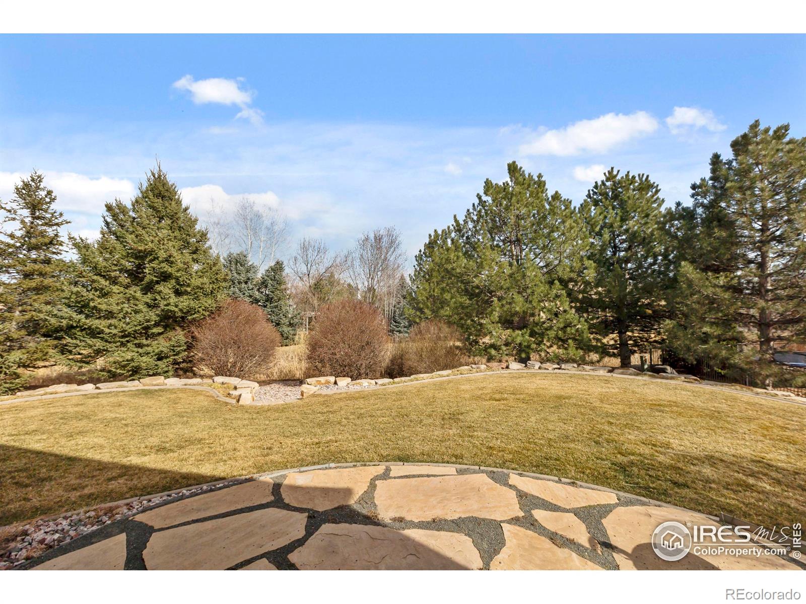 MLS Image #37 for 4814  caravelle drive,fort collins, Colorado