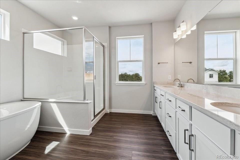 MLS Image #20 for 13920  hanging lake street,parker, Colorado