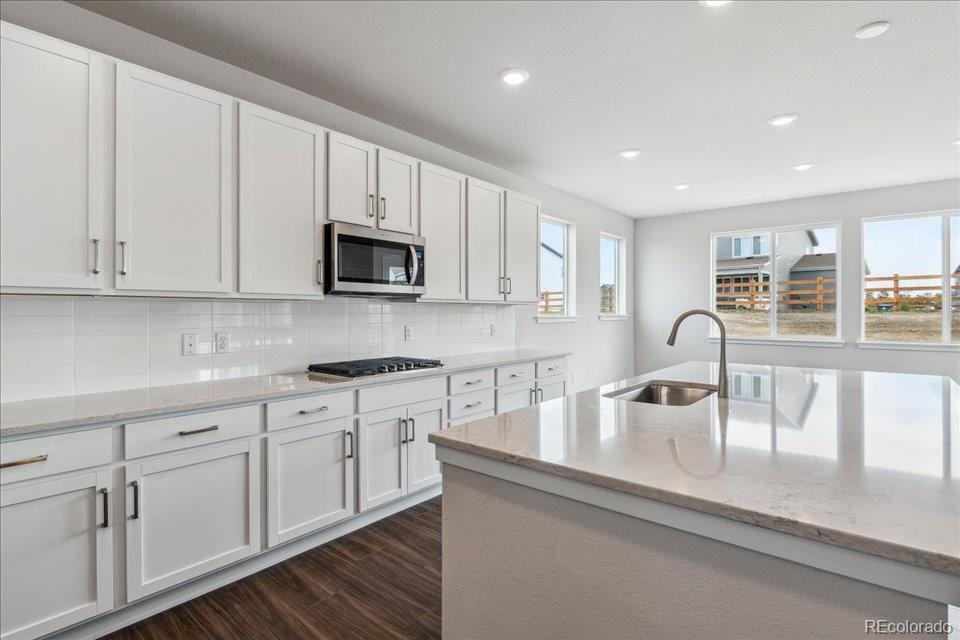 MLS Image #5 for 13920  hanging lake street,parker, Colorado