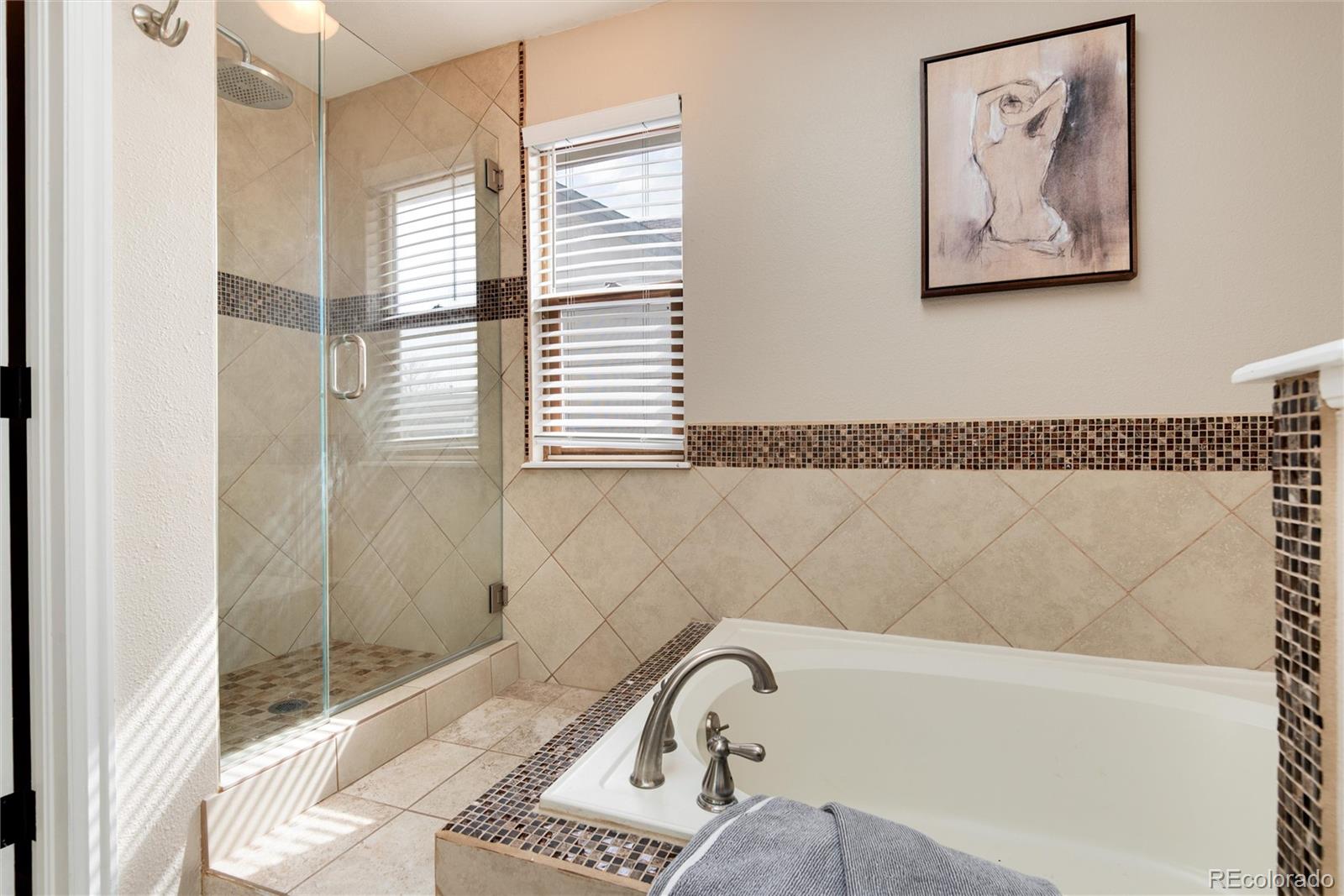 MLS Image #28 for 9866  spring hill lane,highlands ranch, Colorado