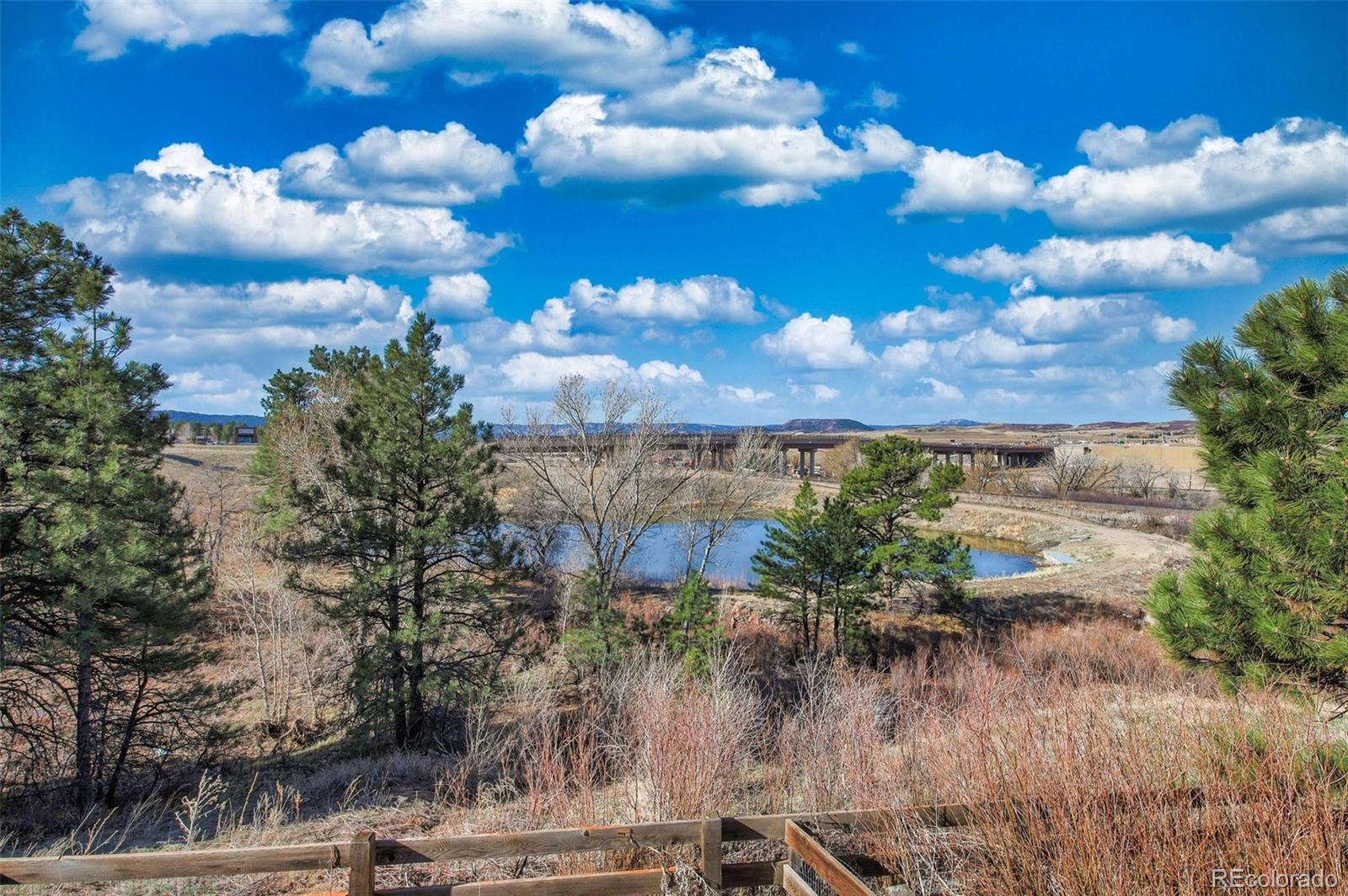 MLS Image #20 for 434  crosshaven place,castle rock, Colorado