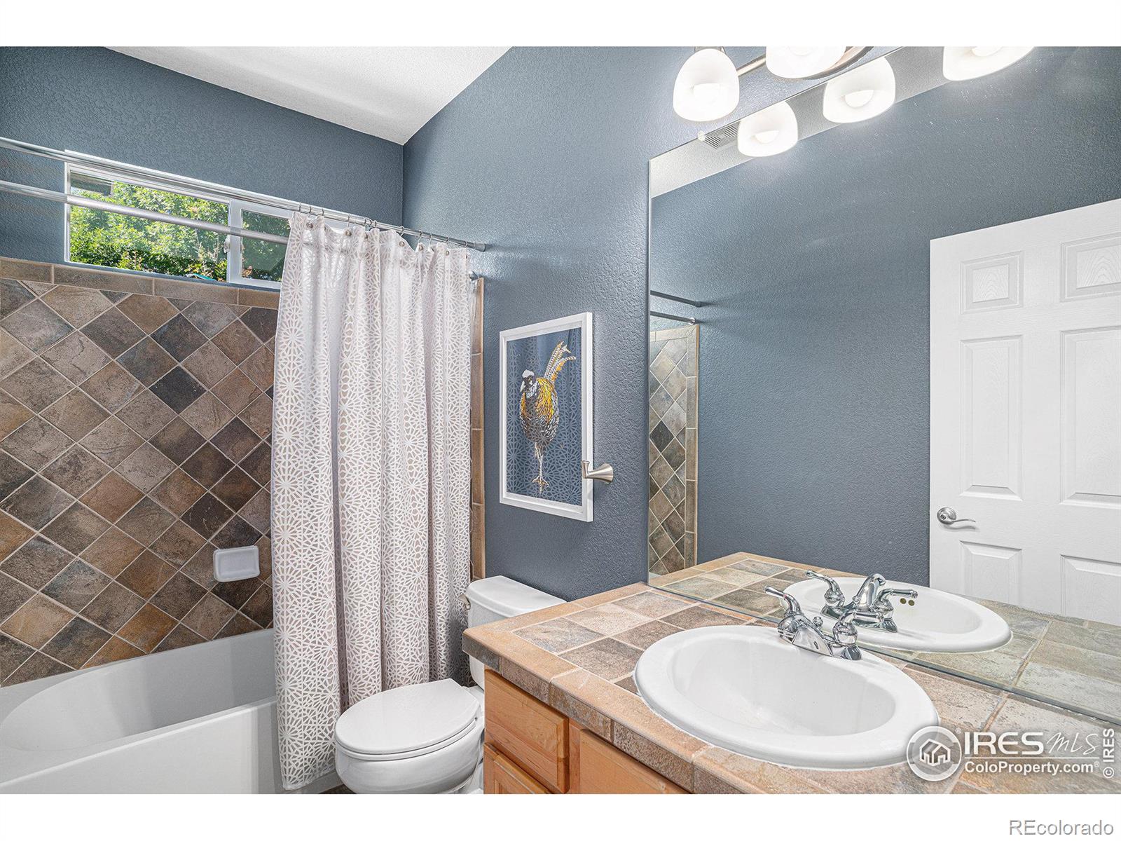 MLS Image #25 for 11725  montgomery circle,longmont, Colorado