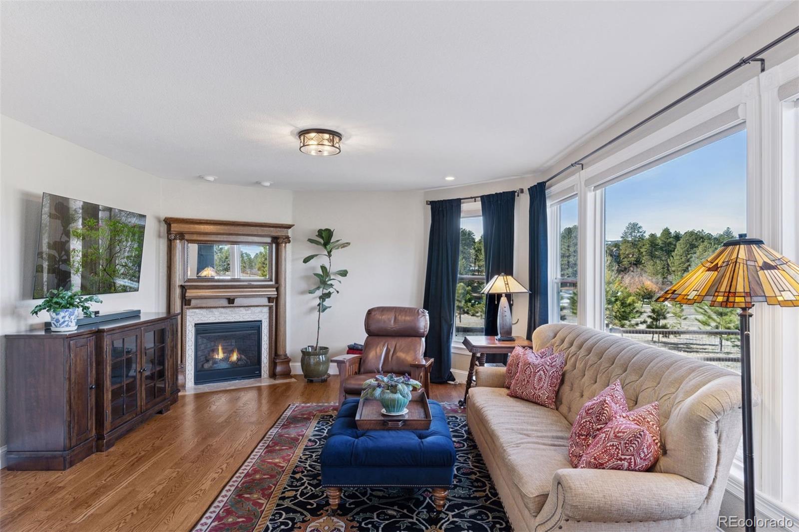 MLS Image #10 for 1805  senecio drive,larkspur, Colorado
