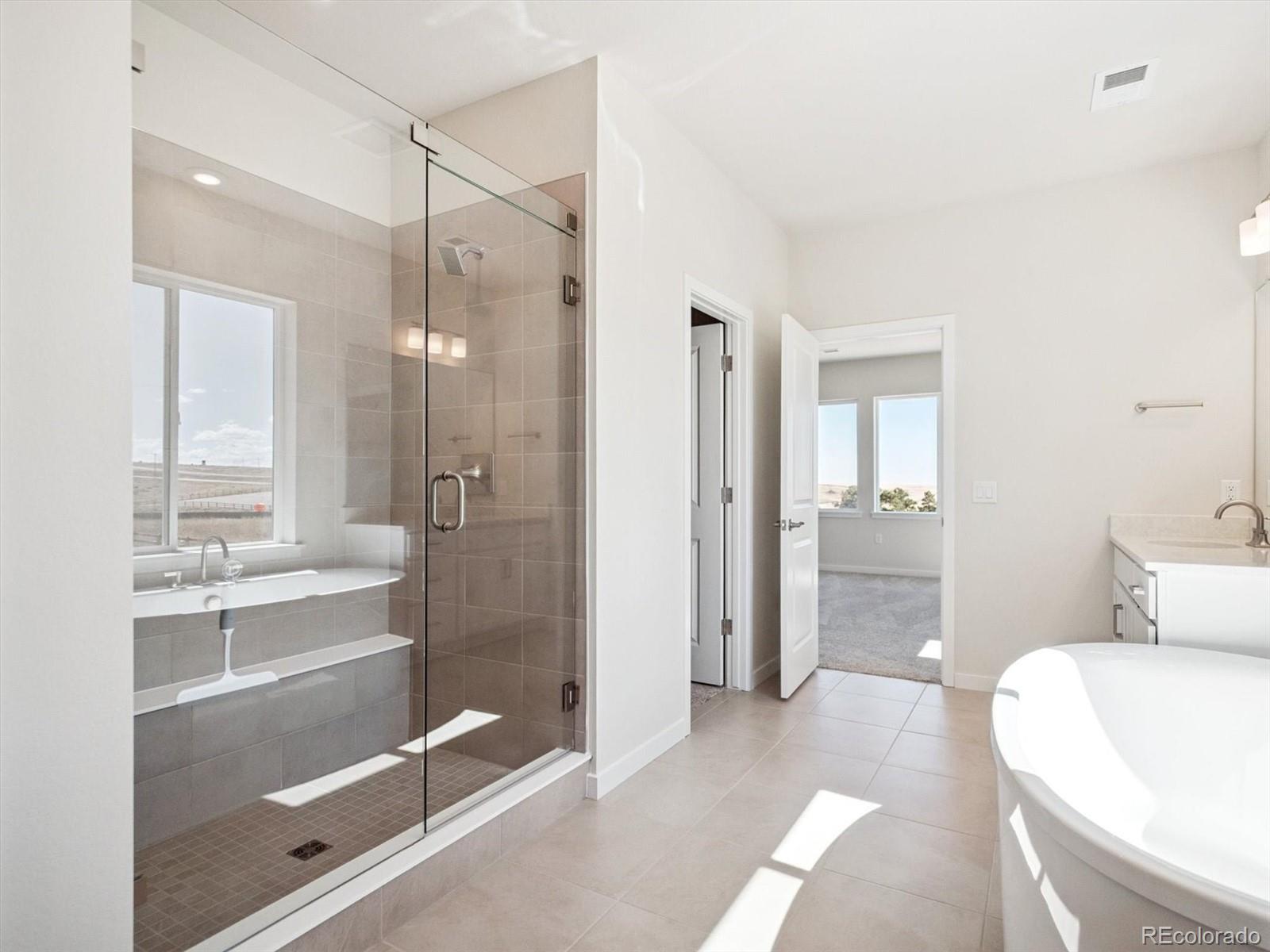 MLS Image #19 for 13770  emerald lake street,parker, Colorado