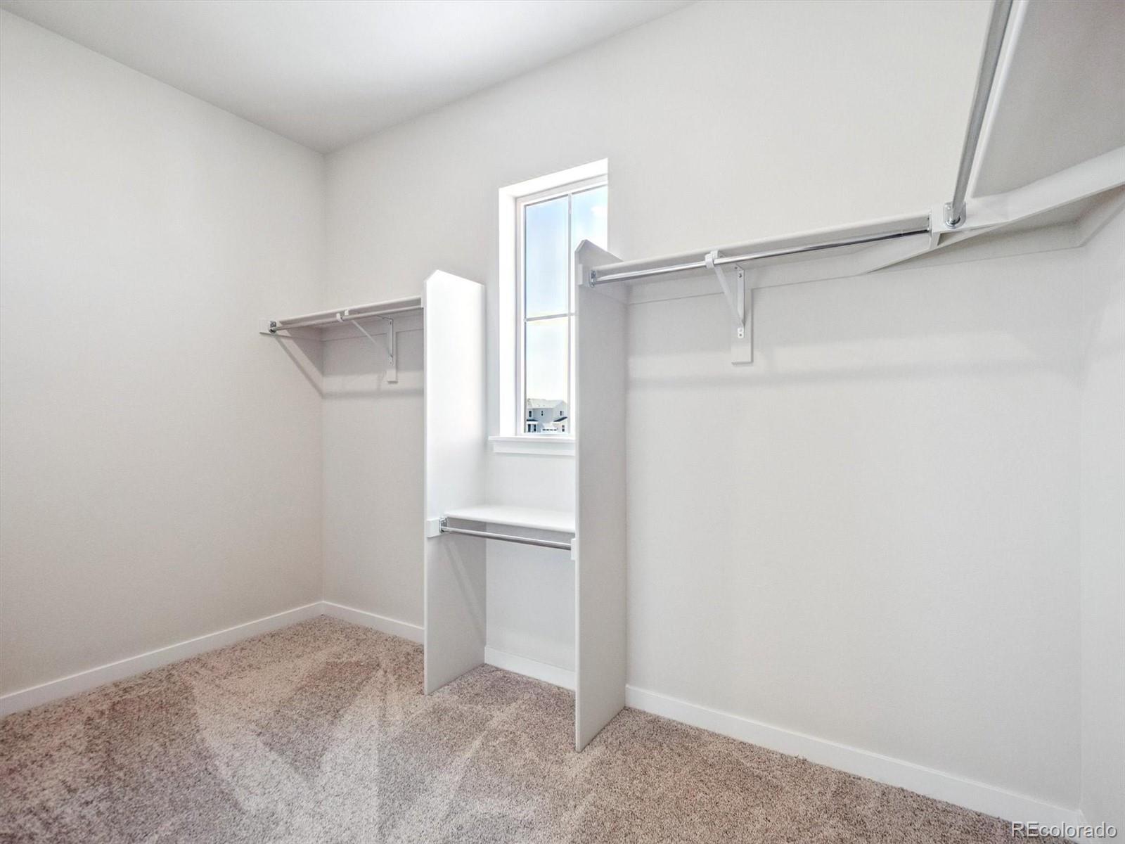 MLS Image #20 for 13770  emerald lake street,parker, Colorado