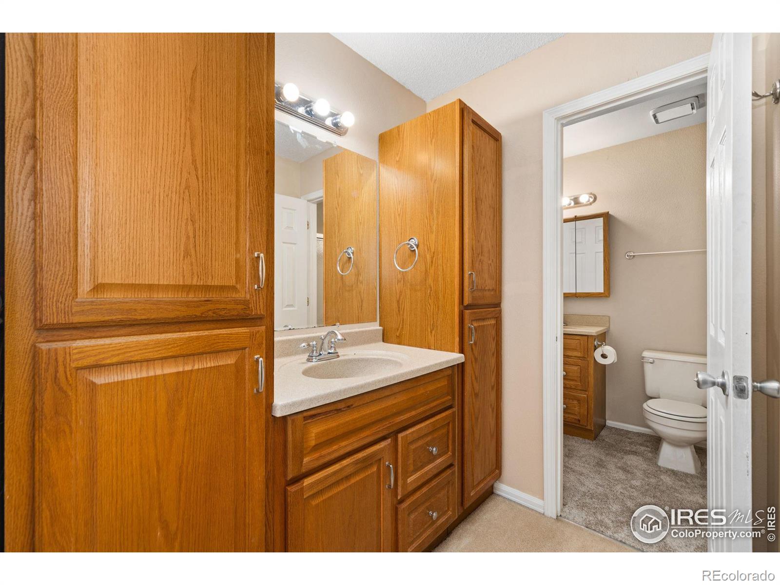 MLS Image #21 for 2515  manet court,fort collins, Colorado