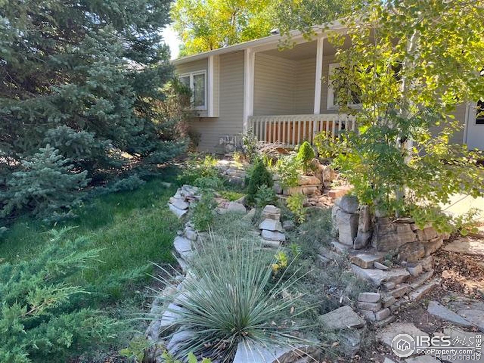 MLS Image #3 for 2515  manet court,fort collins, Colorado