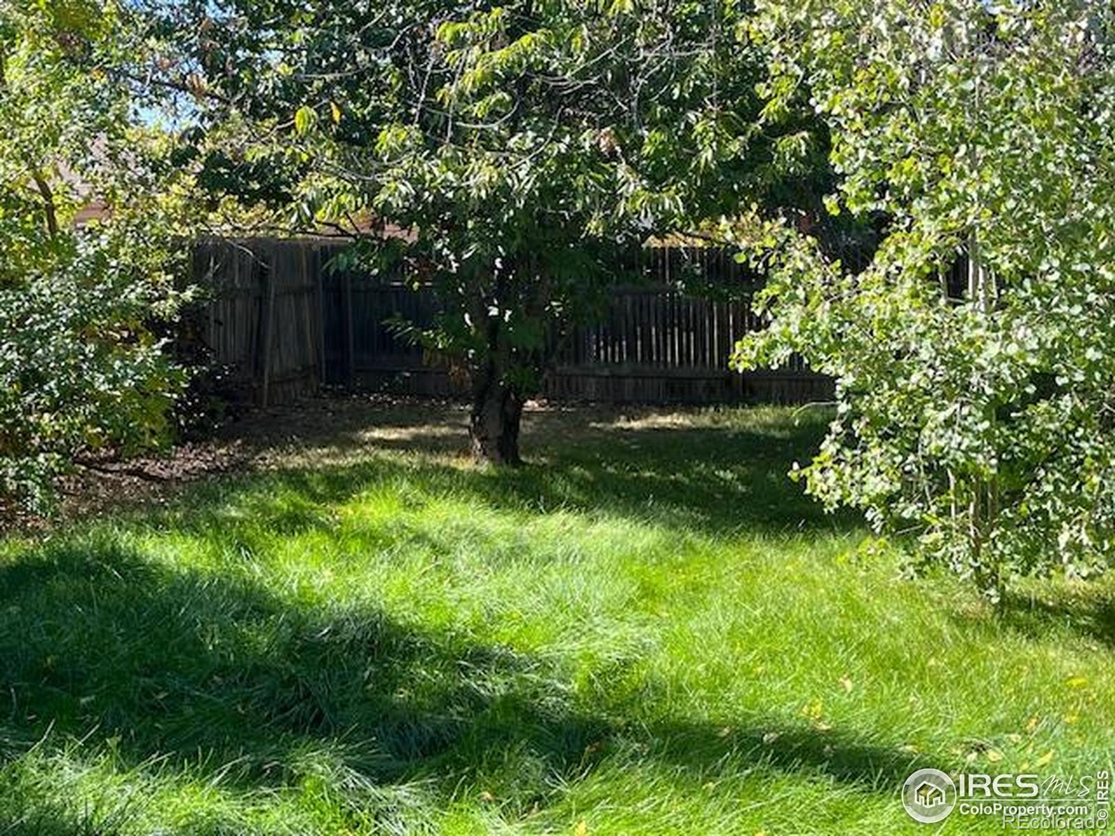 MLS Image #36 for 2515  manet court,fort collins, Colorado
