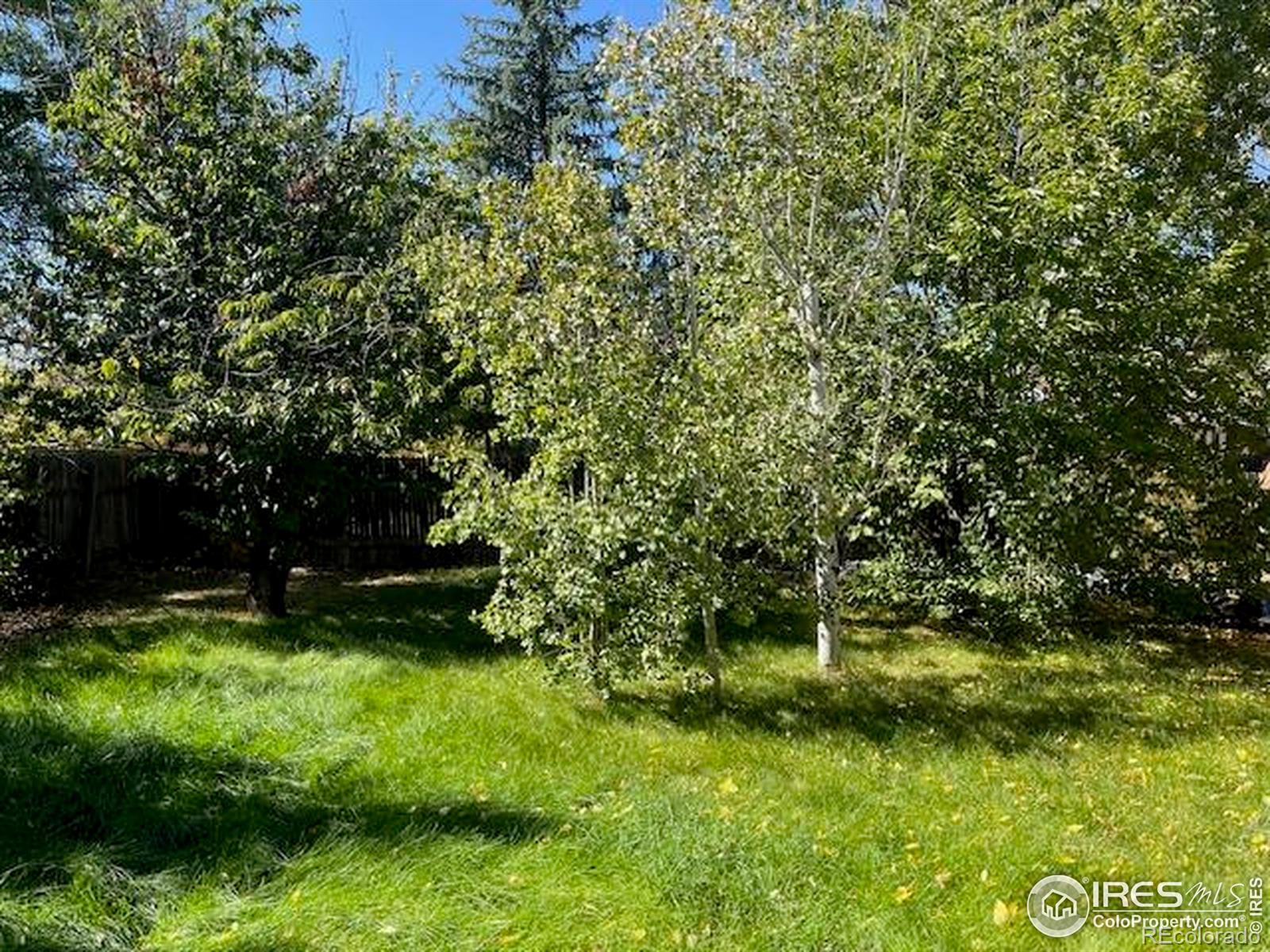 MLS Image #37 for 2515  manet court,fort collins, Colorado