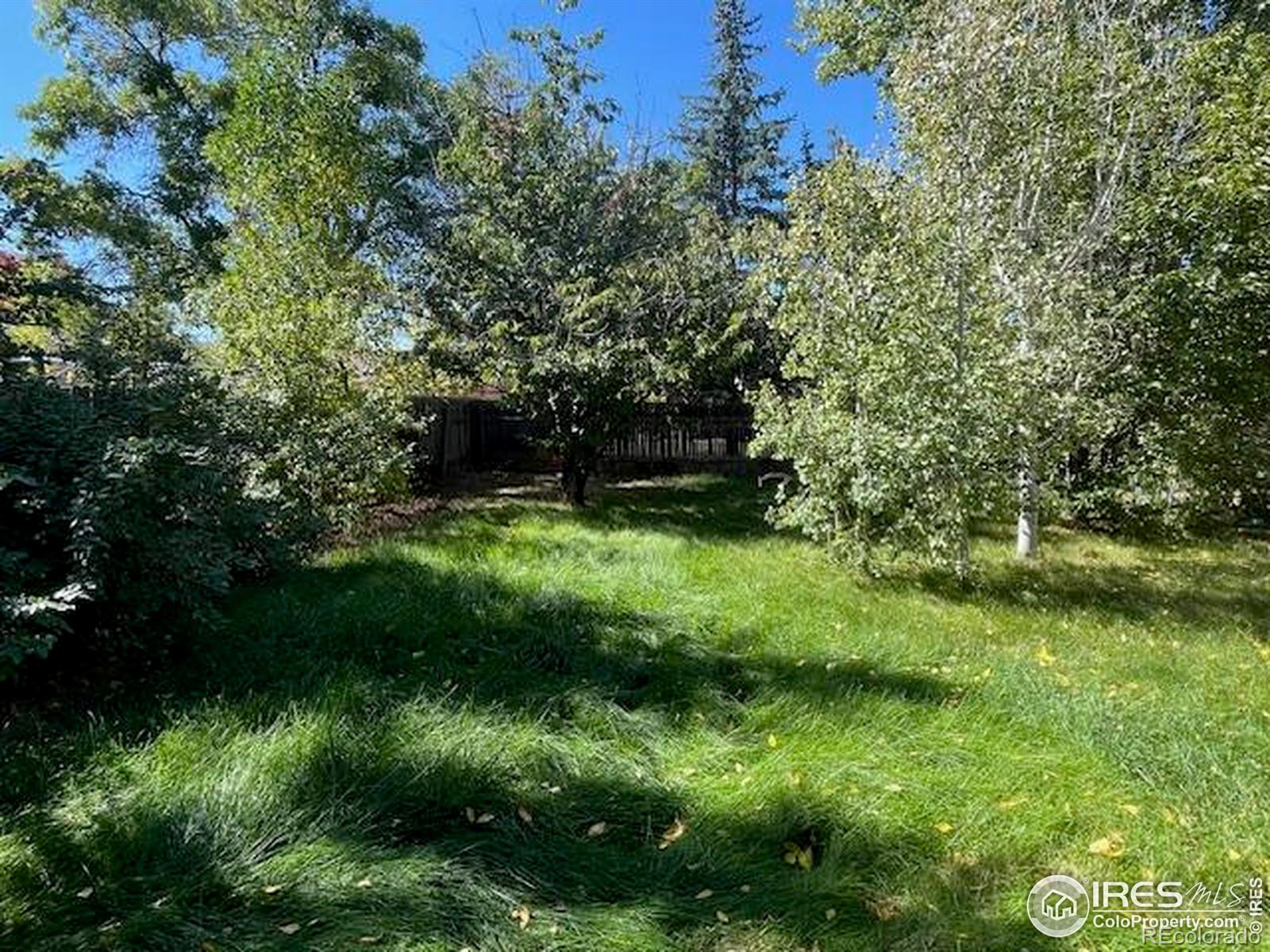 MLS Image #38 for 2515  manet court,fort collins, Colorado