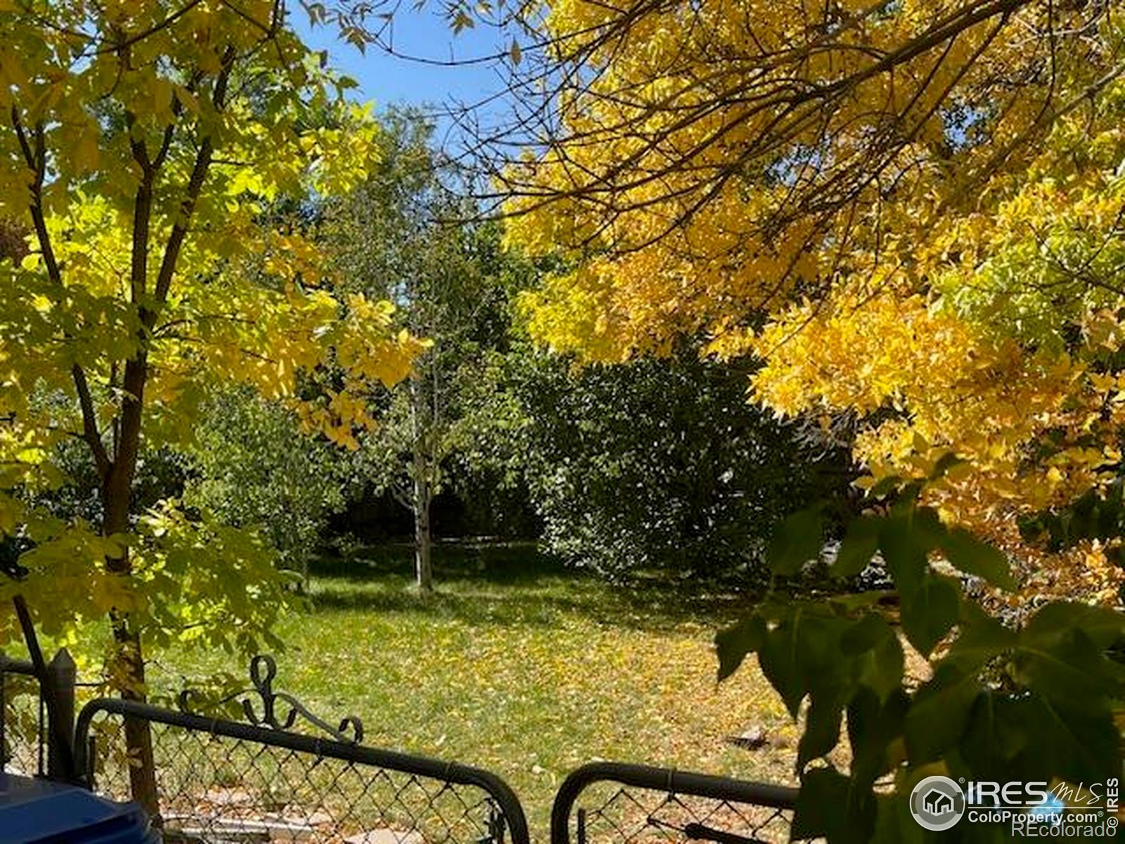 MLS Image #39 for 2515  manet court,fort collins, Colorado