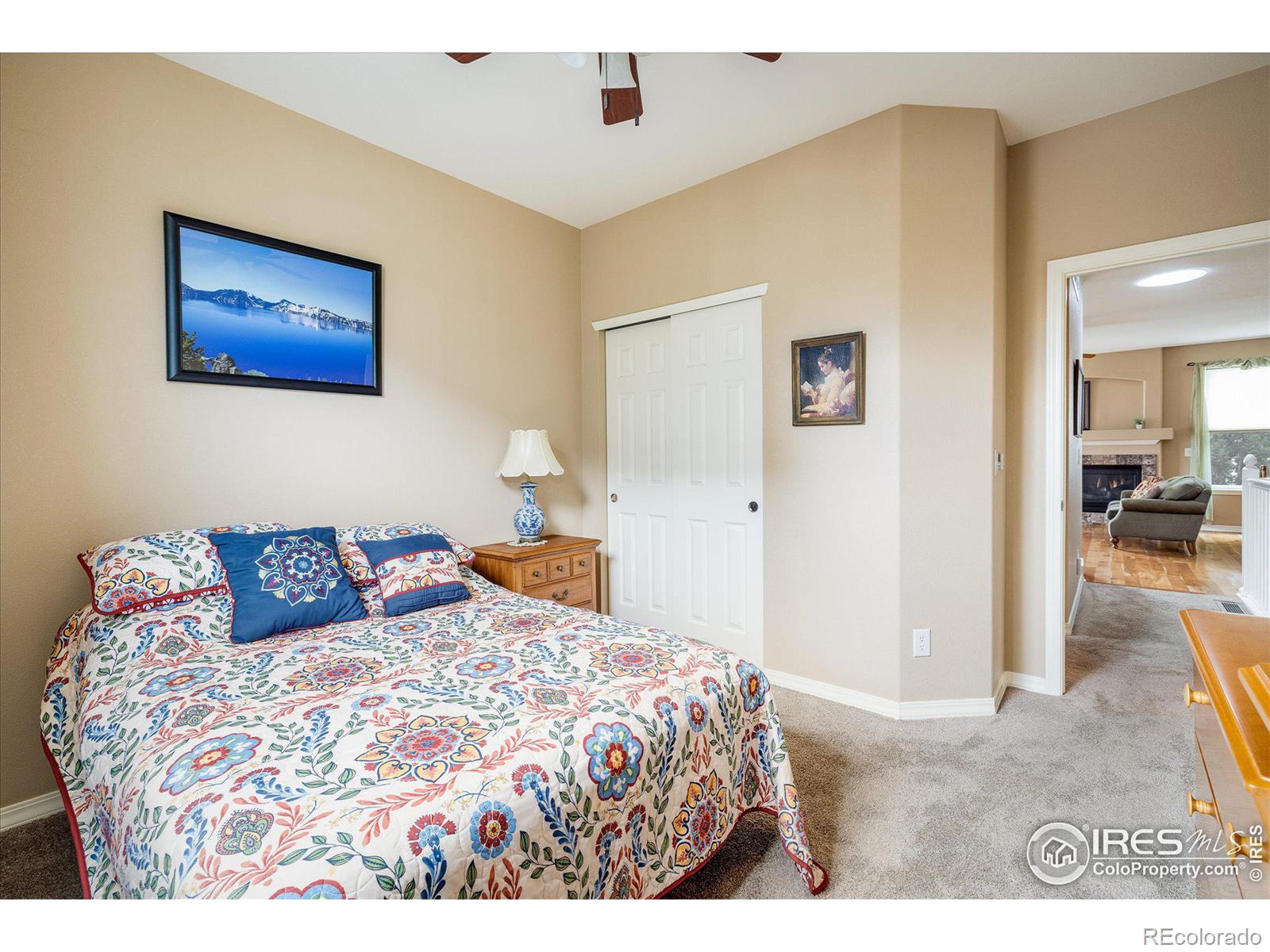 MLS Image #14 for 1038  petras street,erie, Colorado