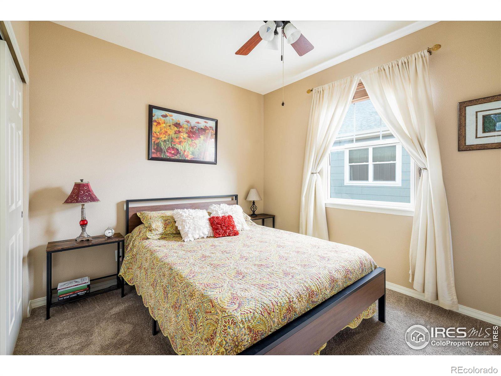 MLS Image #15 for 1038  petras street,erie, Colorado