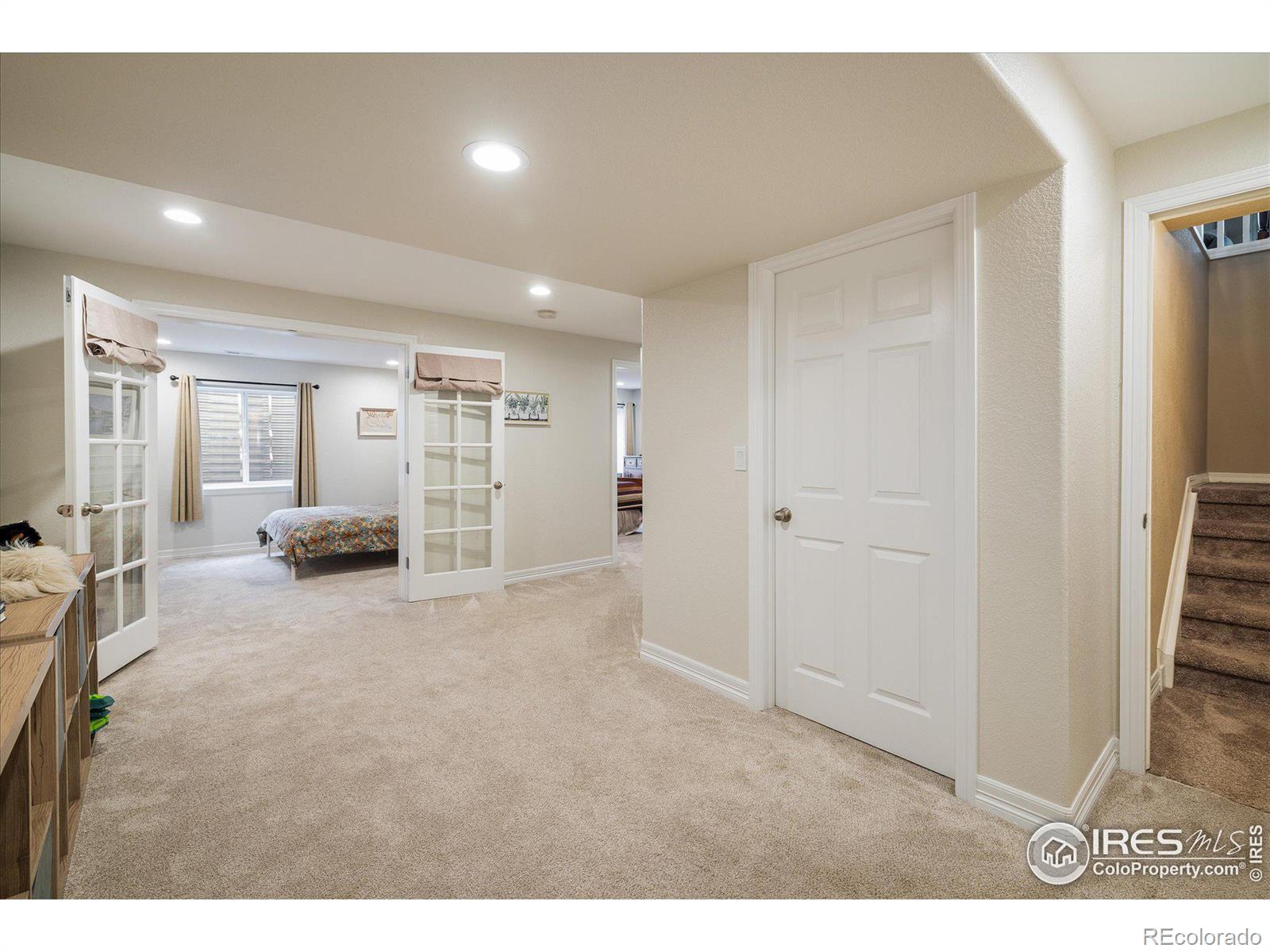 MLS Image #17 for 1038  petras street,erie, Colorado