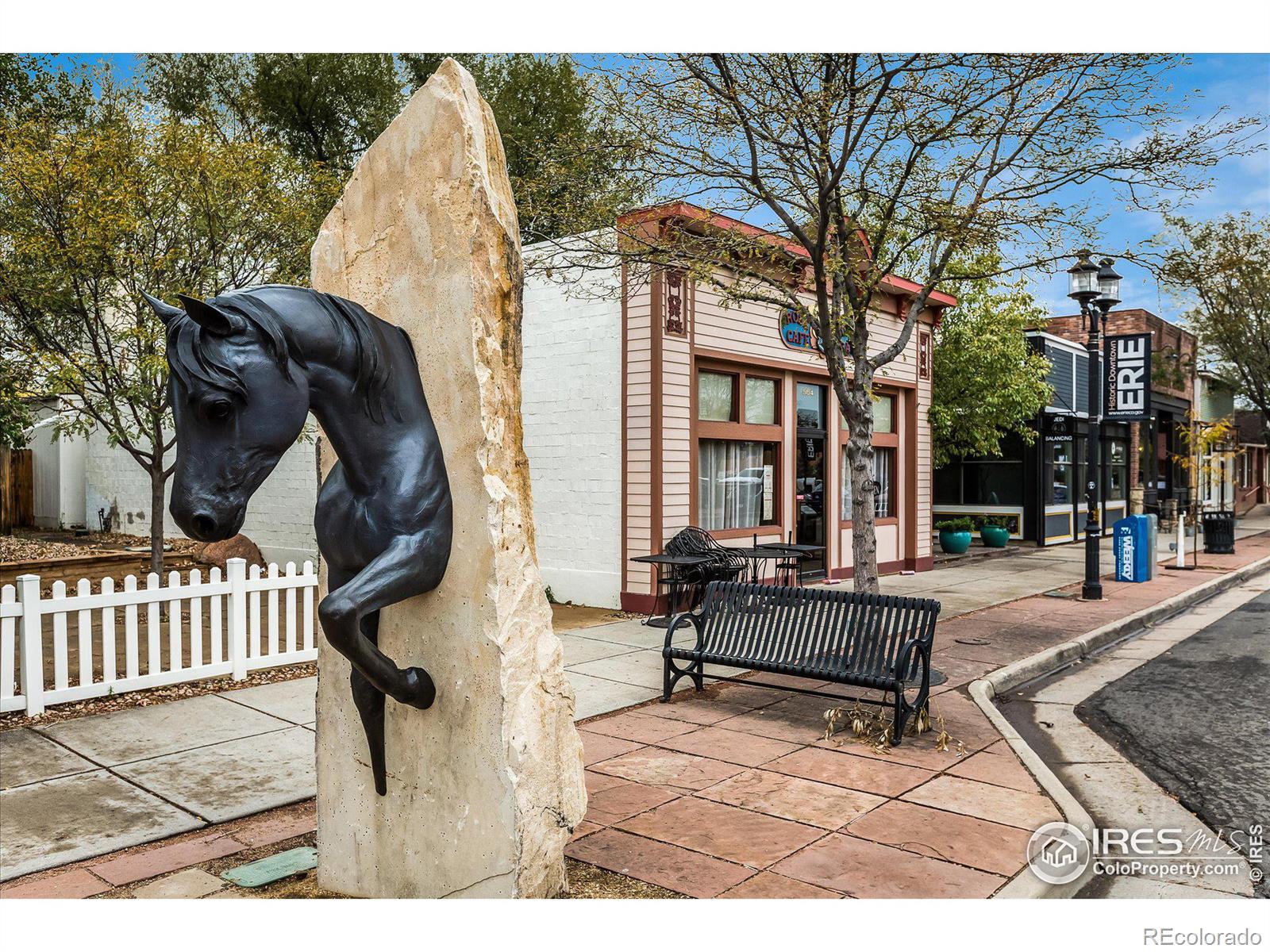 MLS Image #29 for 1038  petras street,erie, Colorado