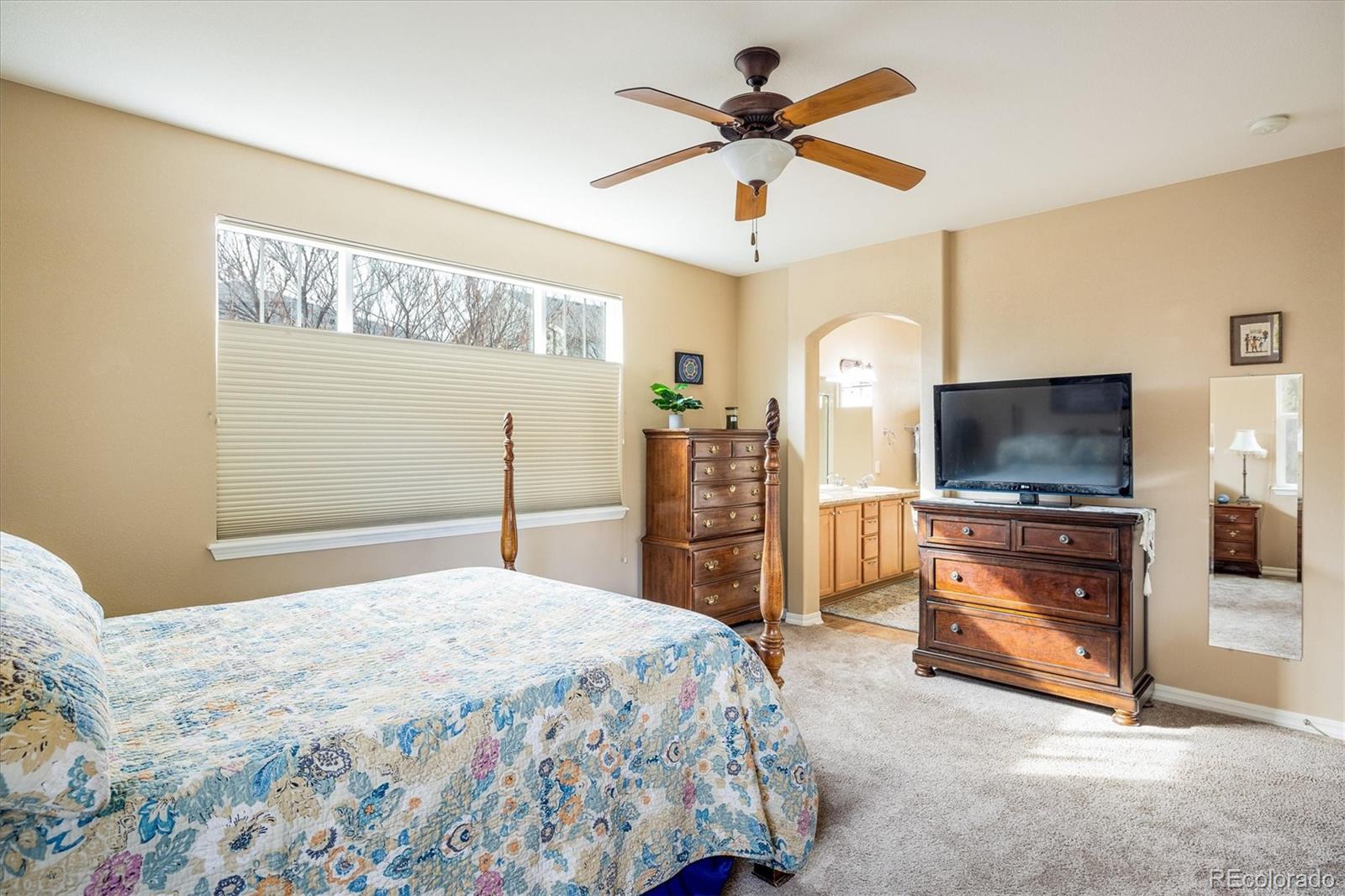 MLS Image #12 for 1038  petras street,erie, Colorado