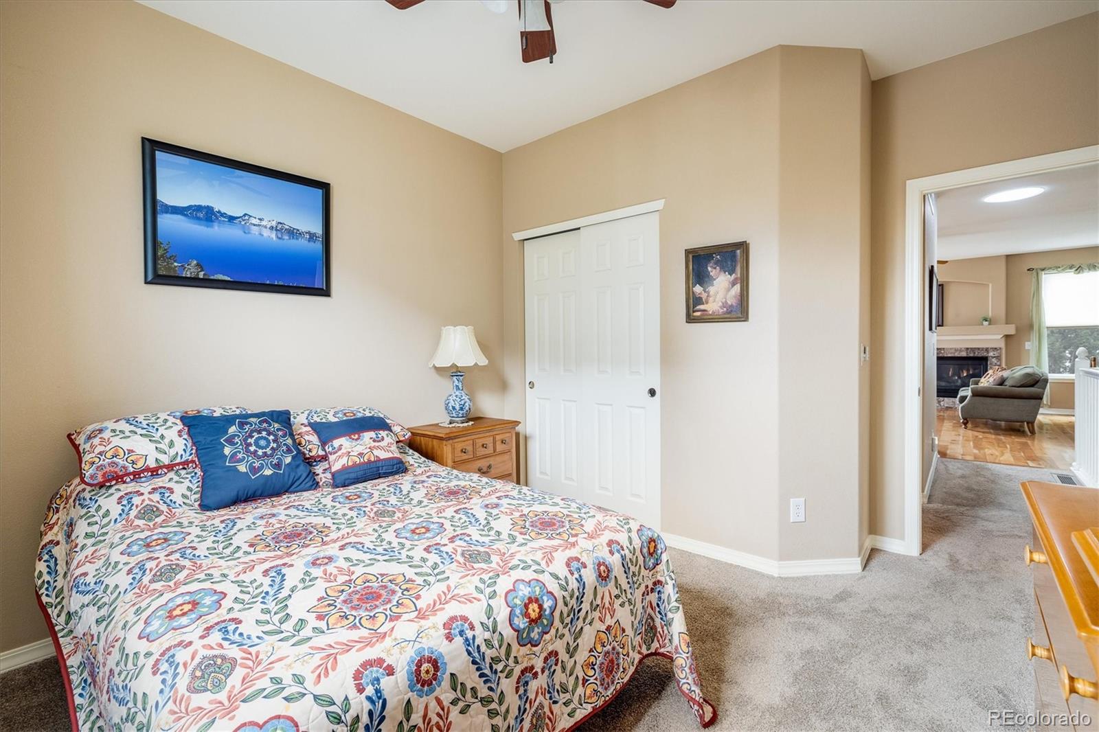 MLS Image #14 for 1038  petras street,erie, Colorado