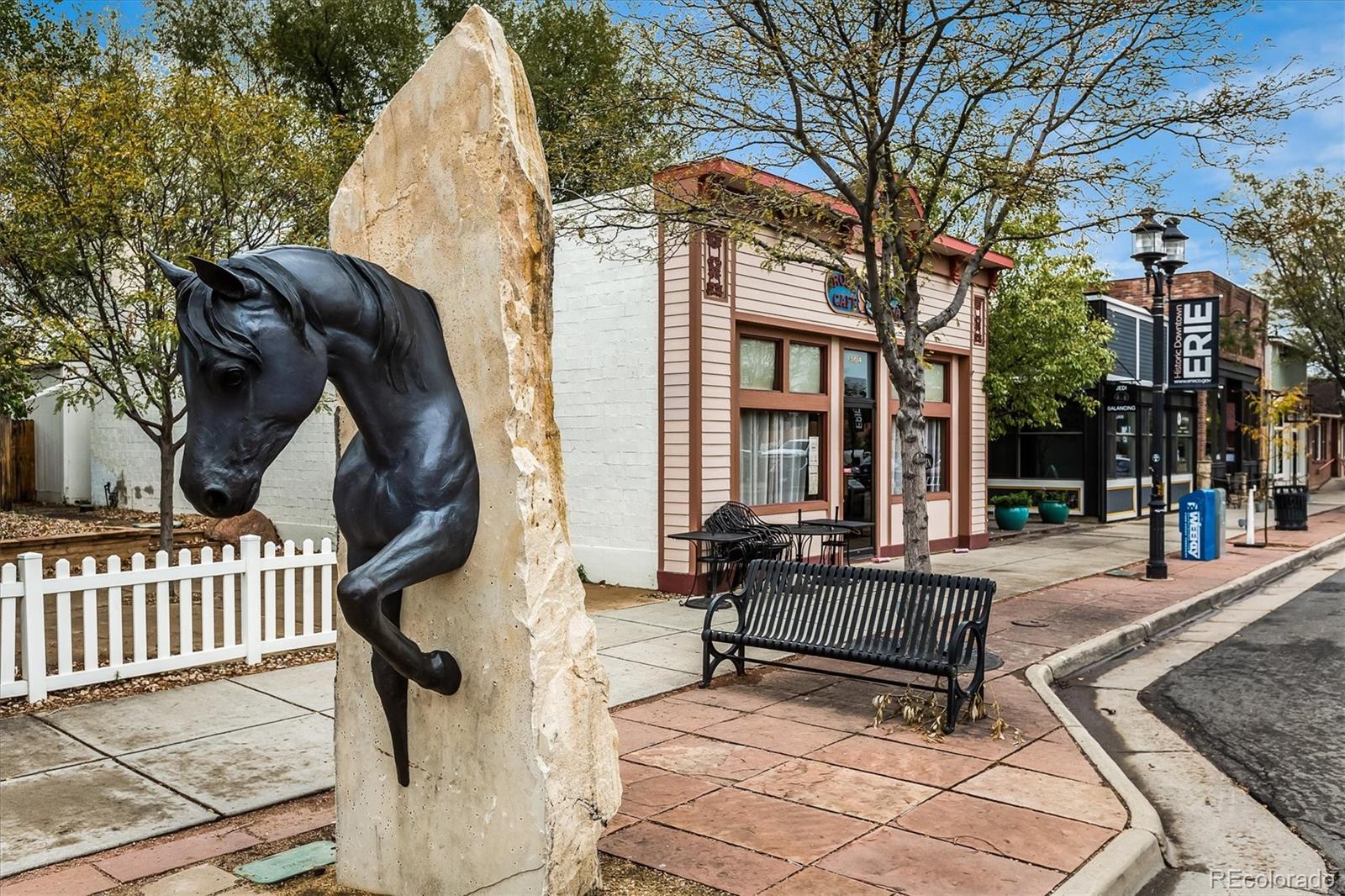 MLS Image #29 for 1038  petras street,erie, Colorado