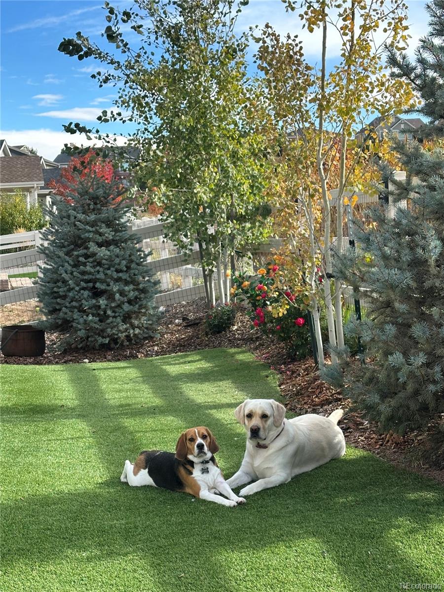 MLS Image #30 for 1784  cade avenue,castle rock, Colorado