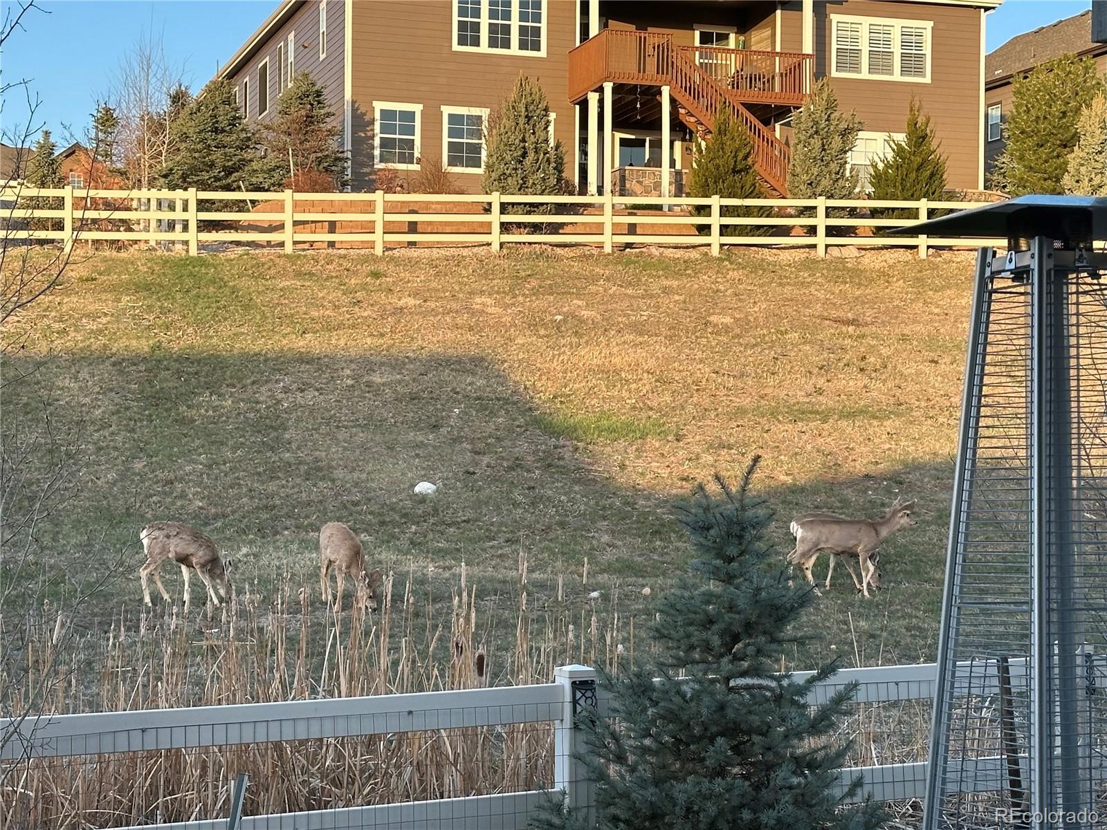 MLS Image #31 for 1784  cade avenue,castle rock, Colorado