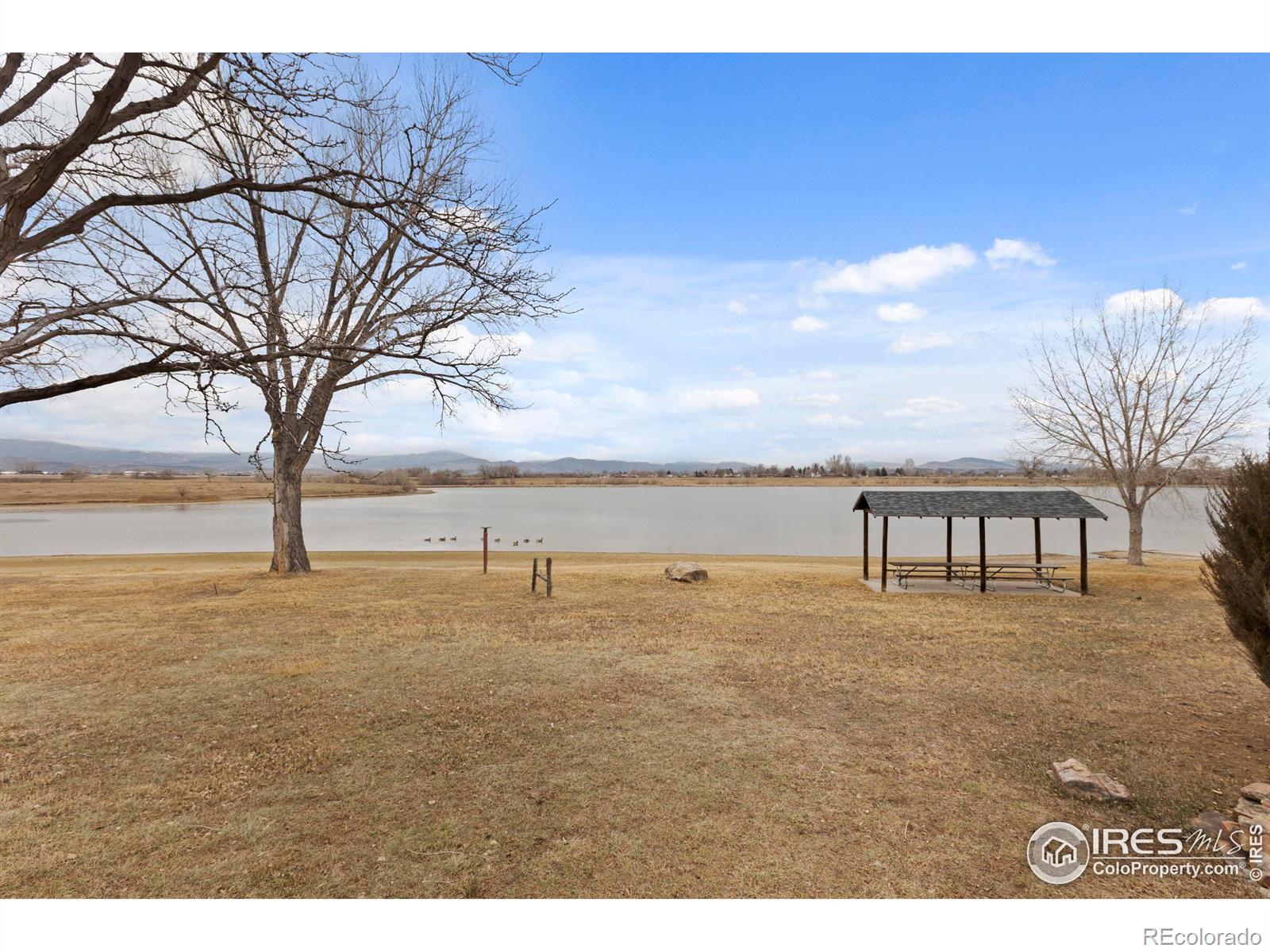 MLS Image #36 for 1714  23rd street,loveland, Colorado