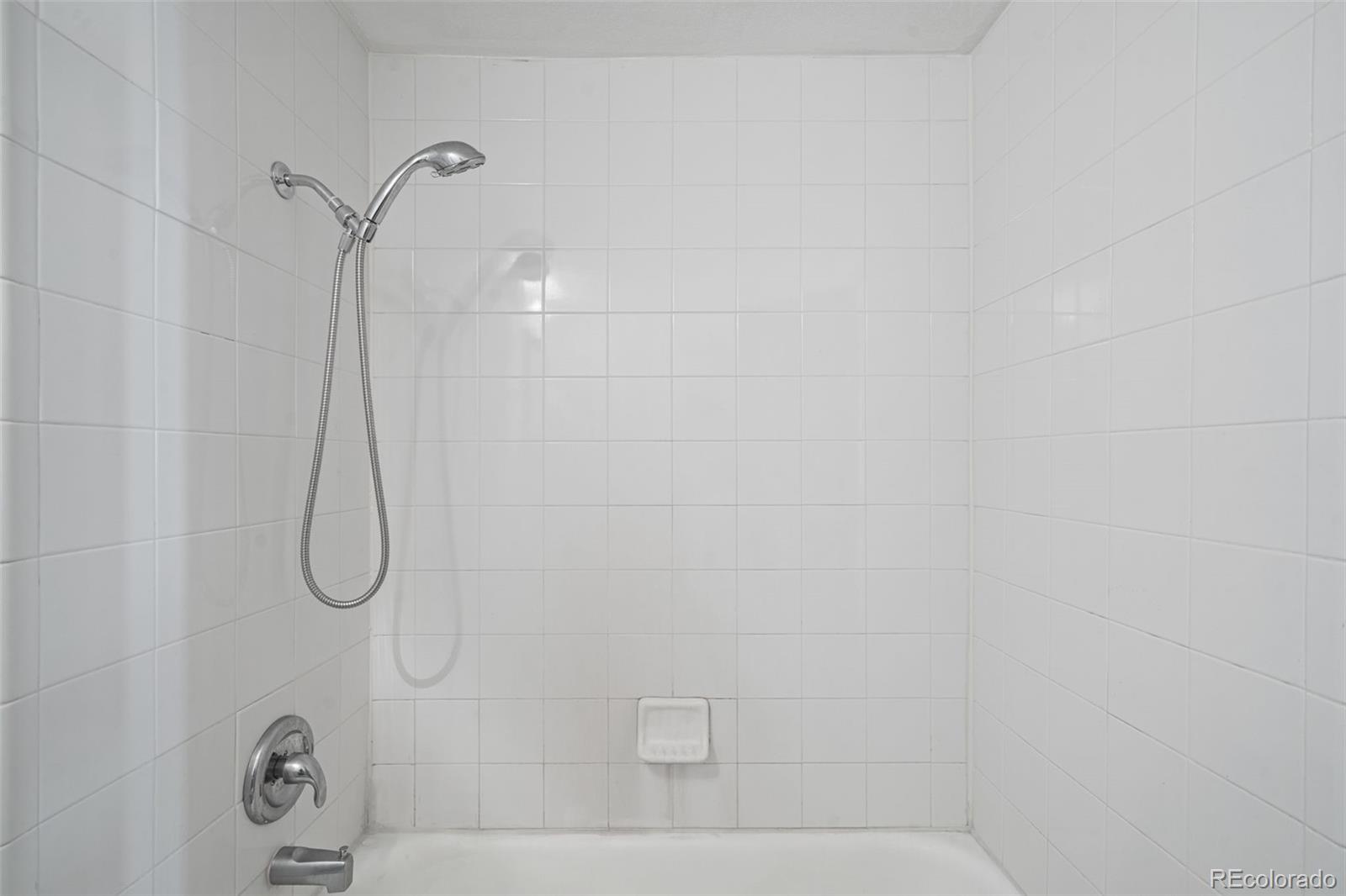 MLS Image #11 for 336 n grant street,denver, Colorado