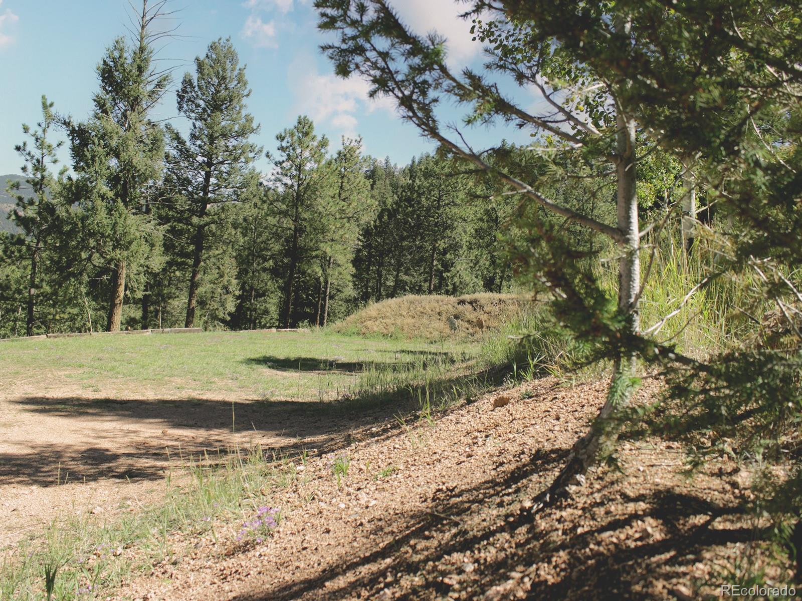 MLS Image #47 for 50  nova circle,pine, Colorado